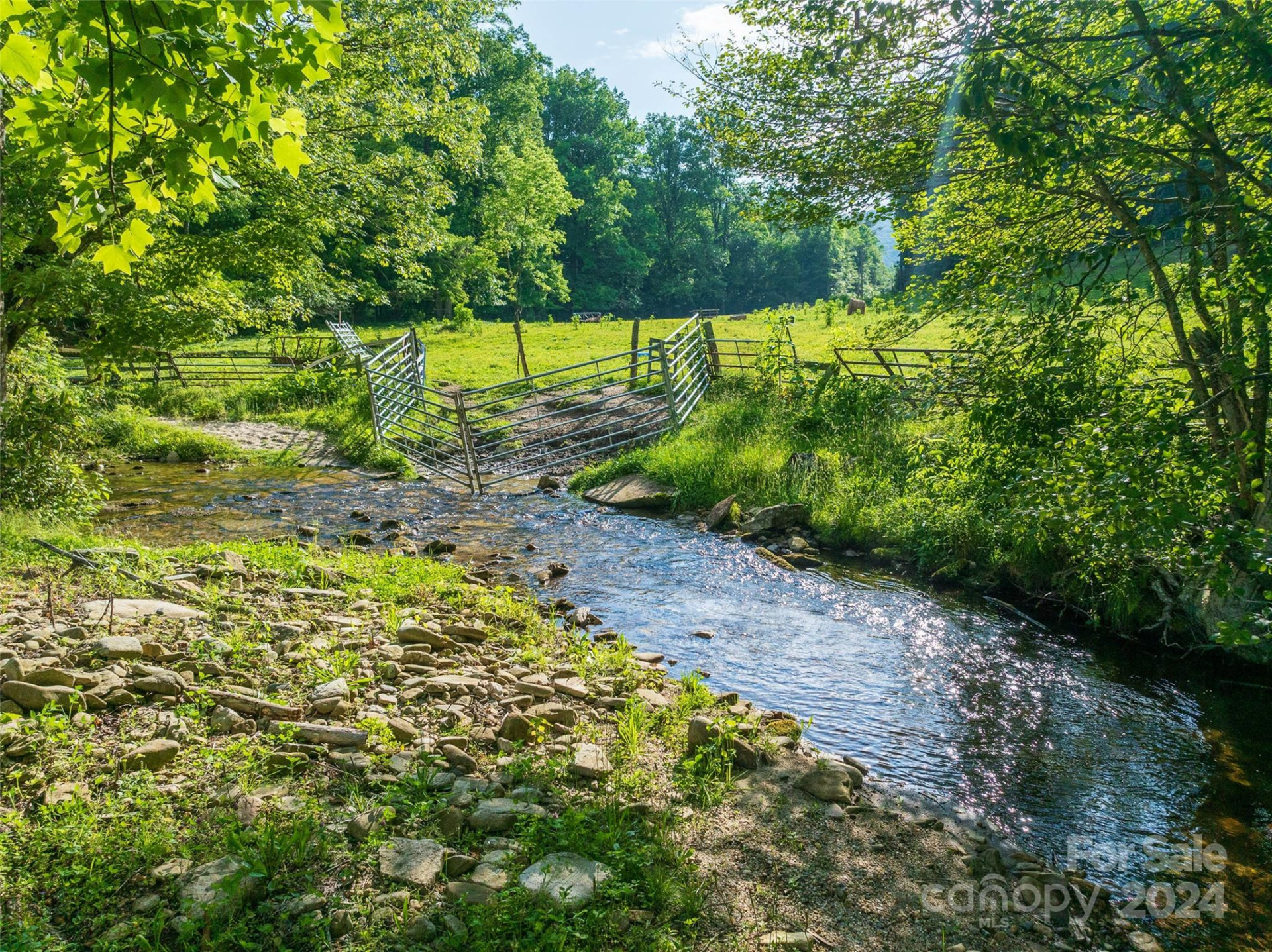 500 Winding Gap Road - Photo 4