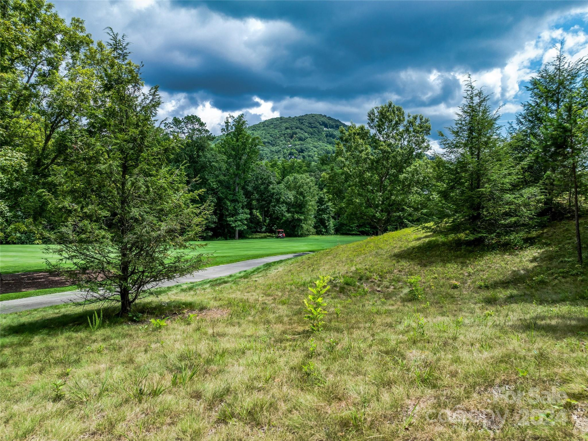 1814 Bella Vista Court #118 - Photo 17