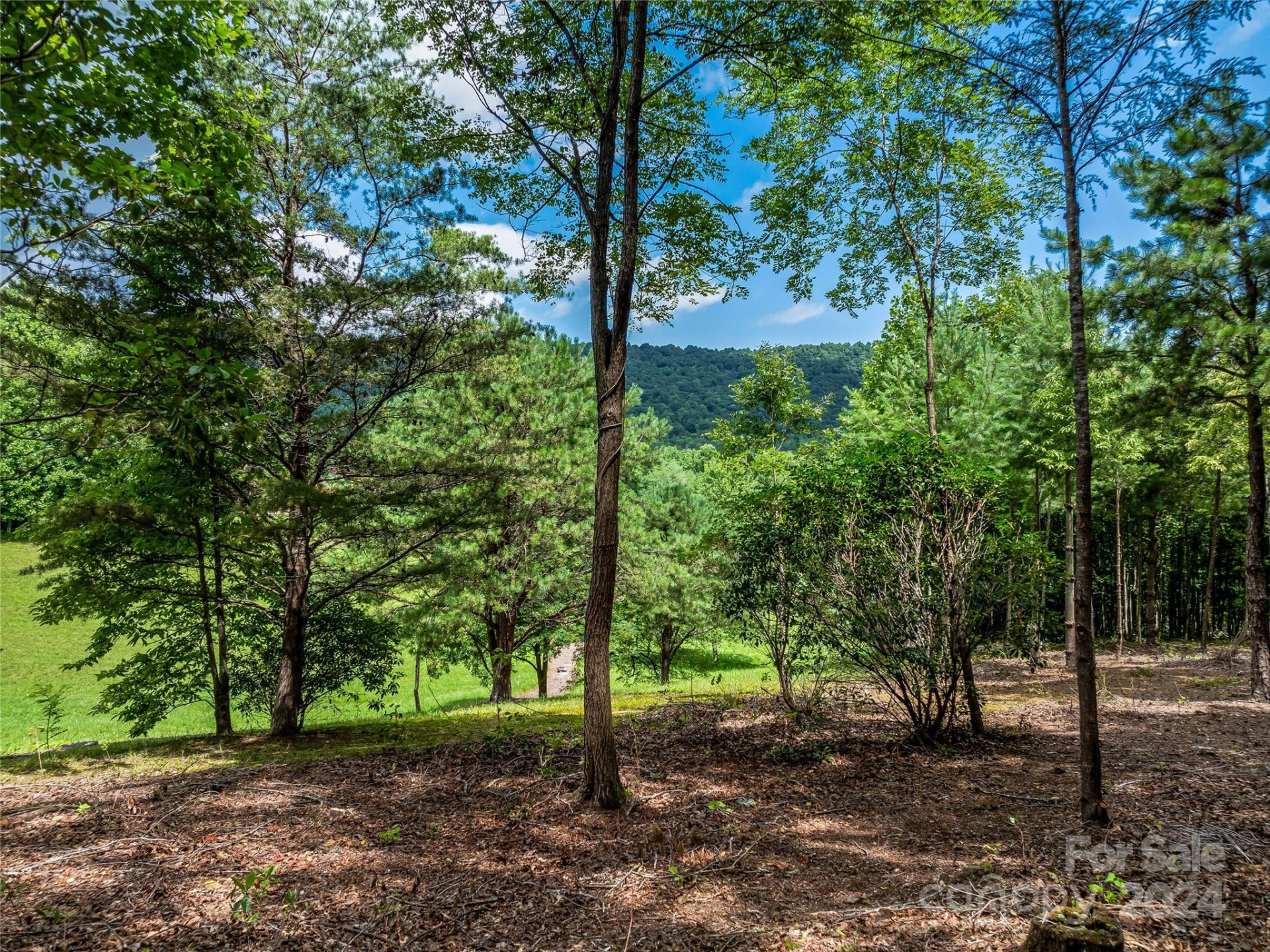 1814 Bella Vista Court #118 - Photo 18