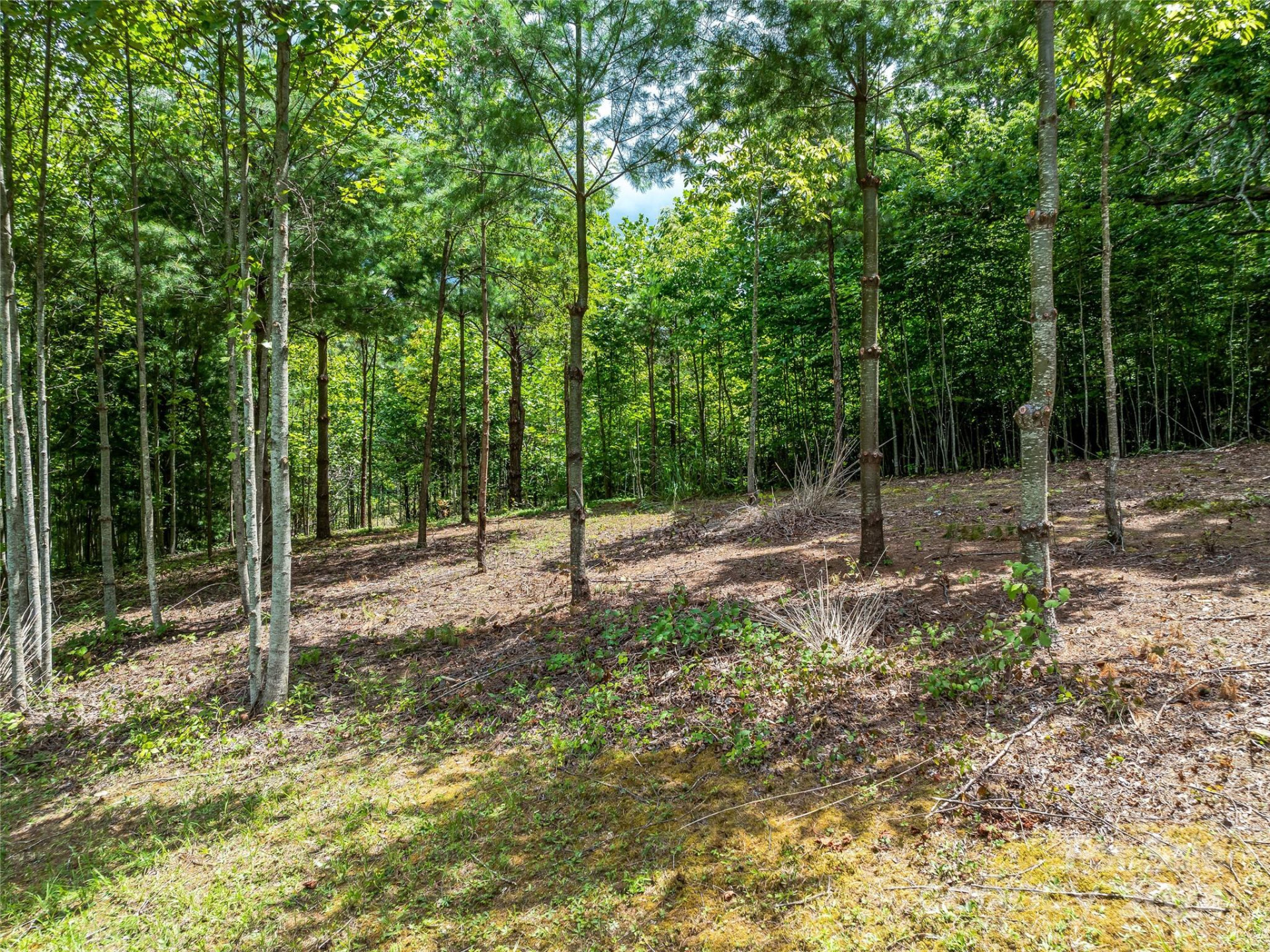 1814 Bella Vista Court #118 - Photo 20