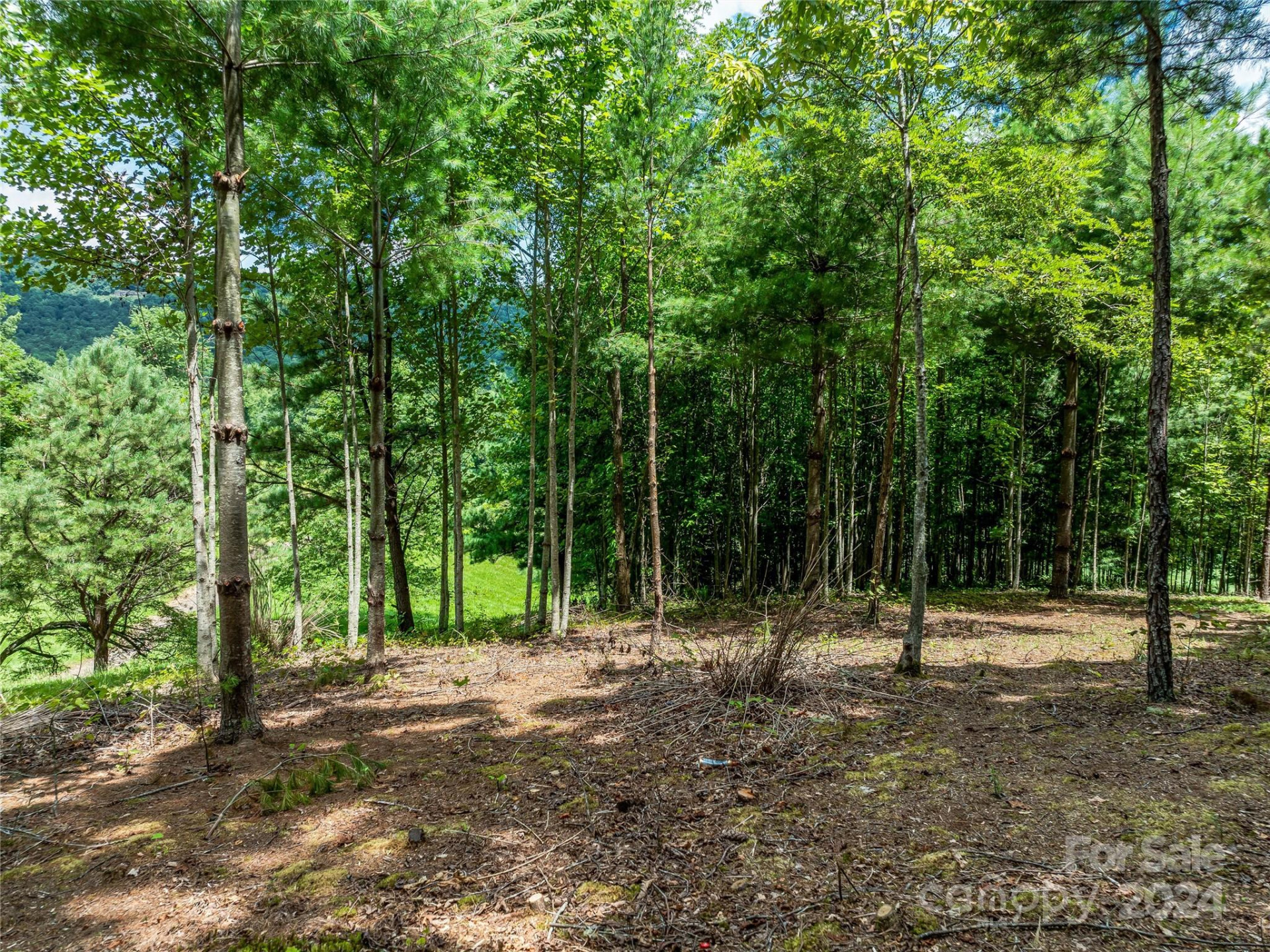 1814 Bella Vista Court #118 - Photo 22