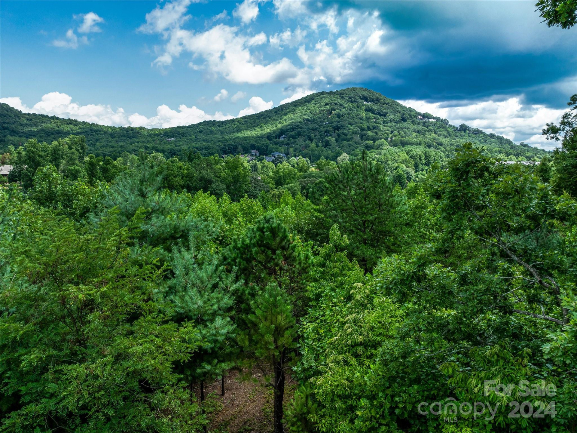 1814 Bella Vista Court #118 - Photo 23