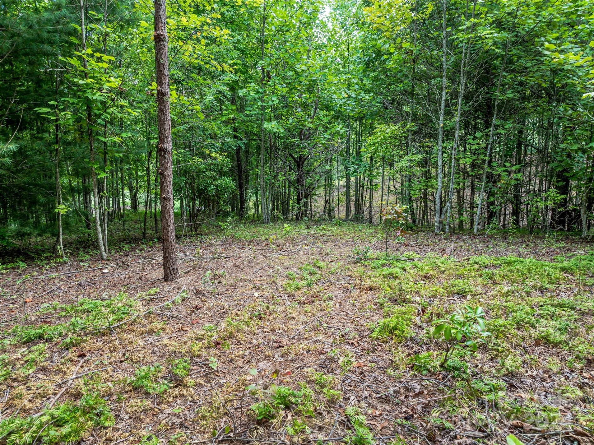1814 Bella Vista Court #118 - Photo 25