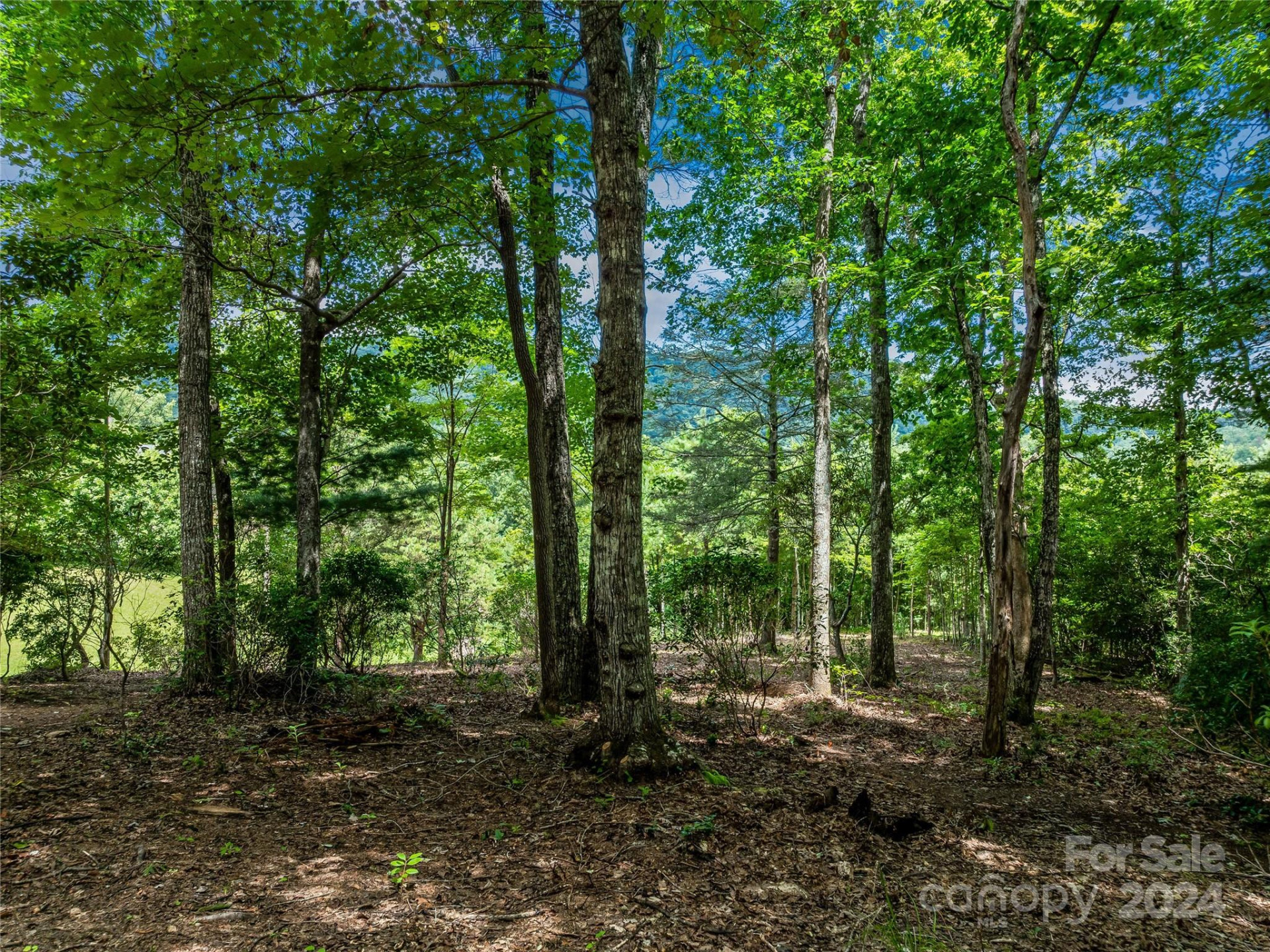 1814 Bella Vista Court #118 - Photo 27