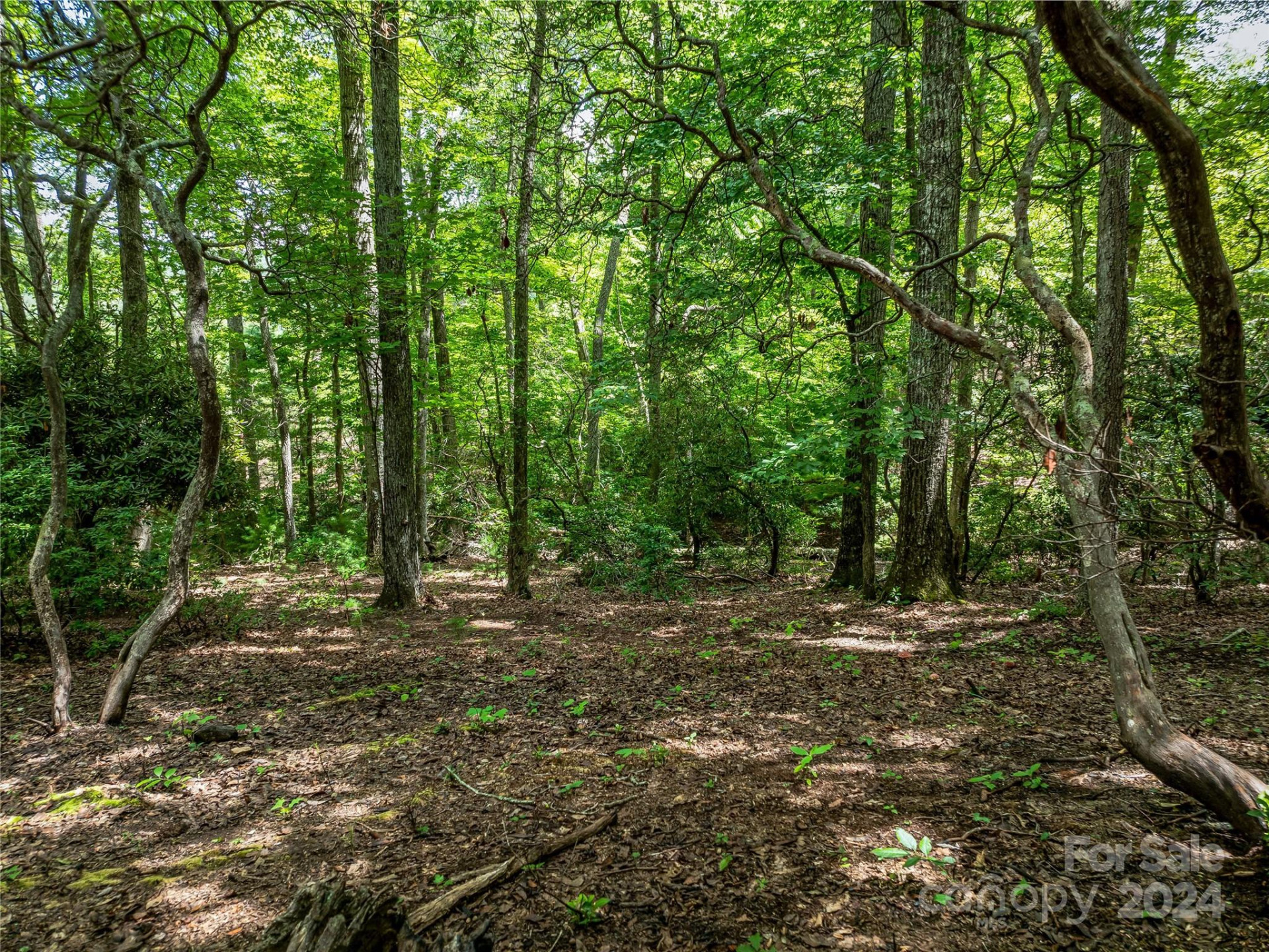 1814 Bella Vista Court #118 - Photo 28