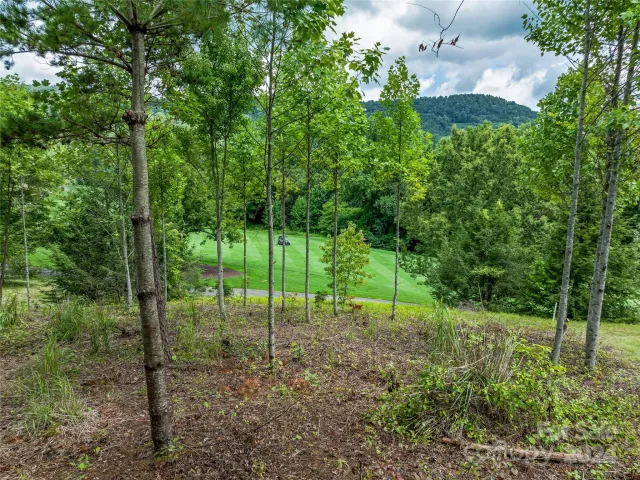 1822 Bella Vista Court