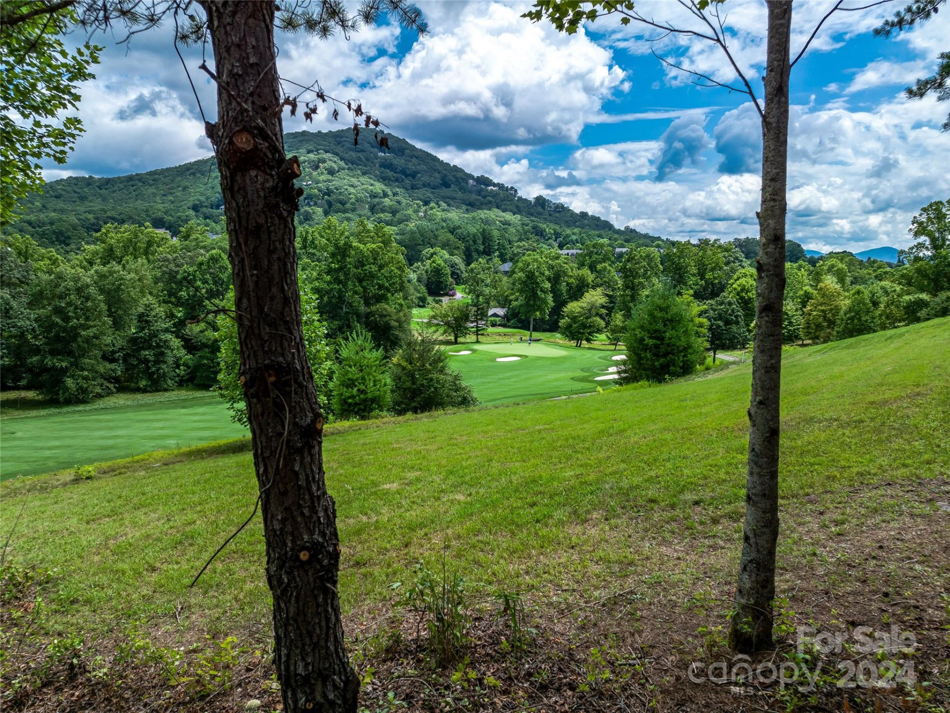 1822 Bella Vista Court #119 - Photo 12