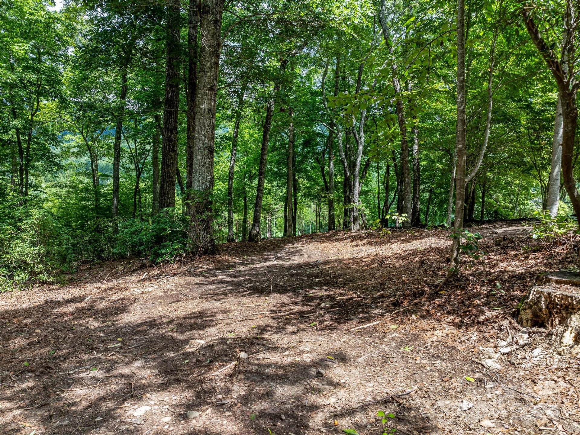 1822 Bella Vista Court #119 - Photo 23