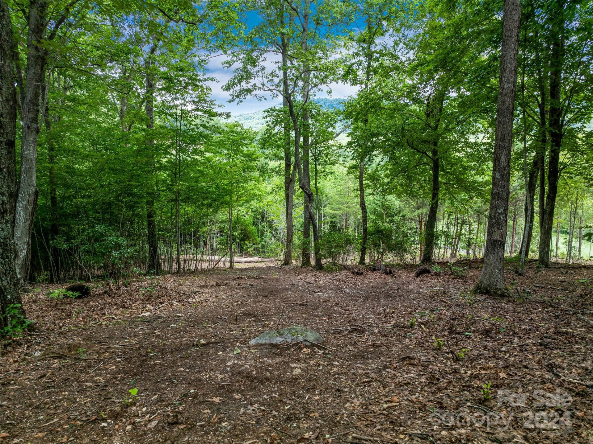 1822 Bella Vista Court #119 - Photo 24