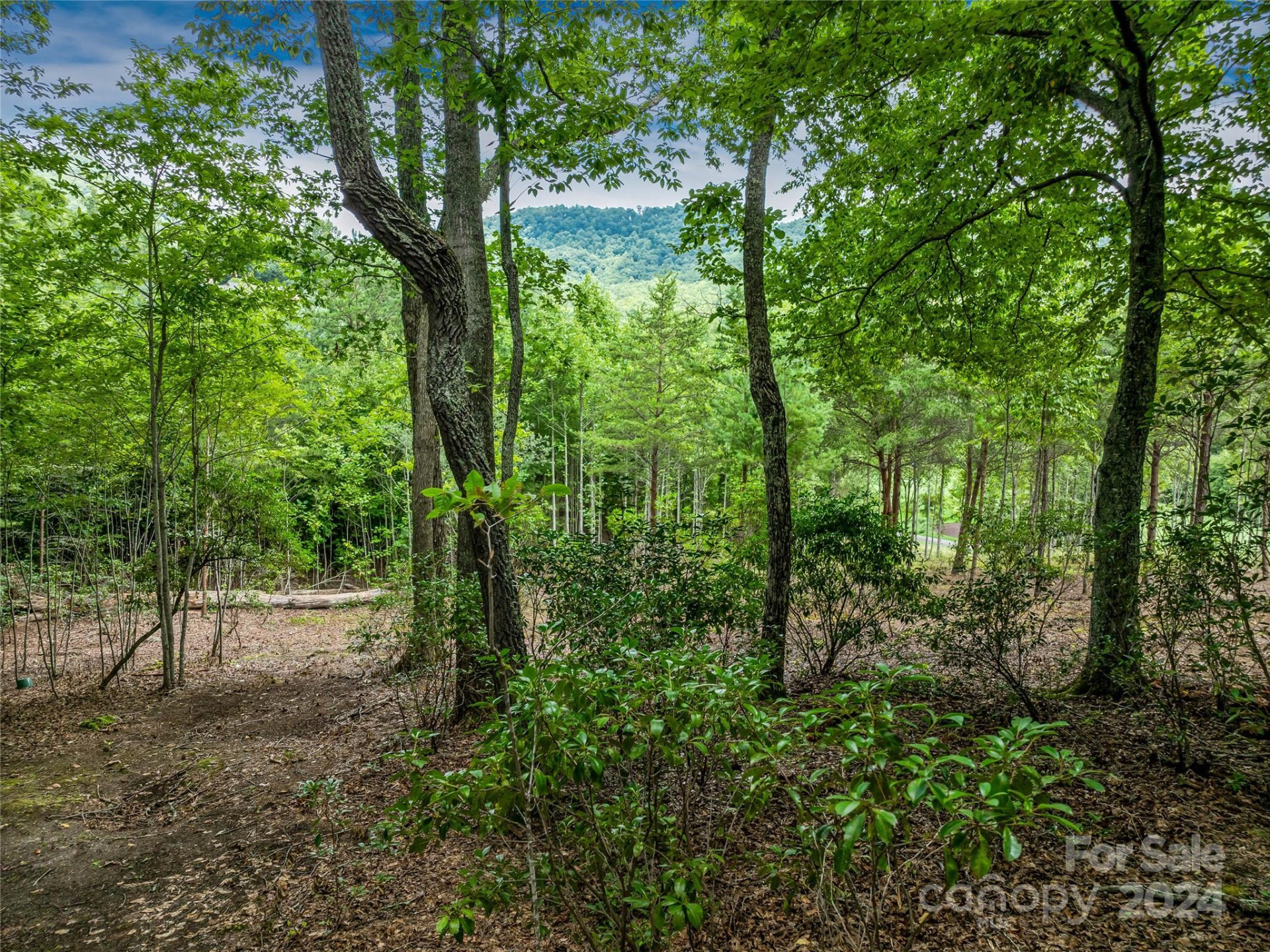 1822 Bella Vista Court #119 - Photo 25