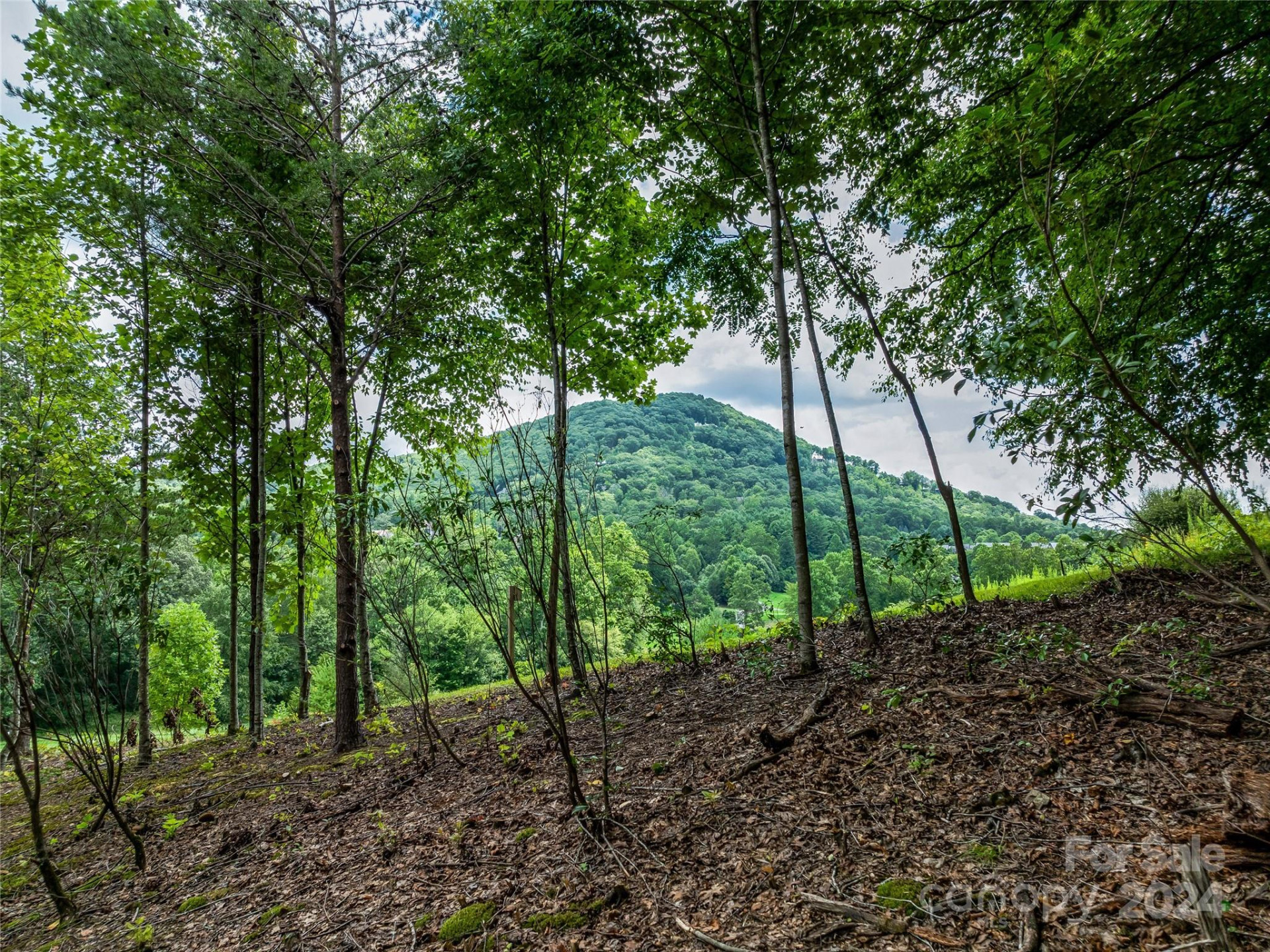 1822 Bella Vista Court #119 - Photo 26