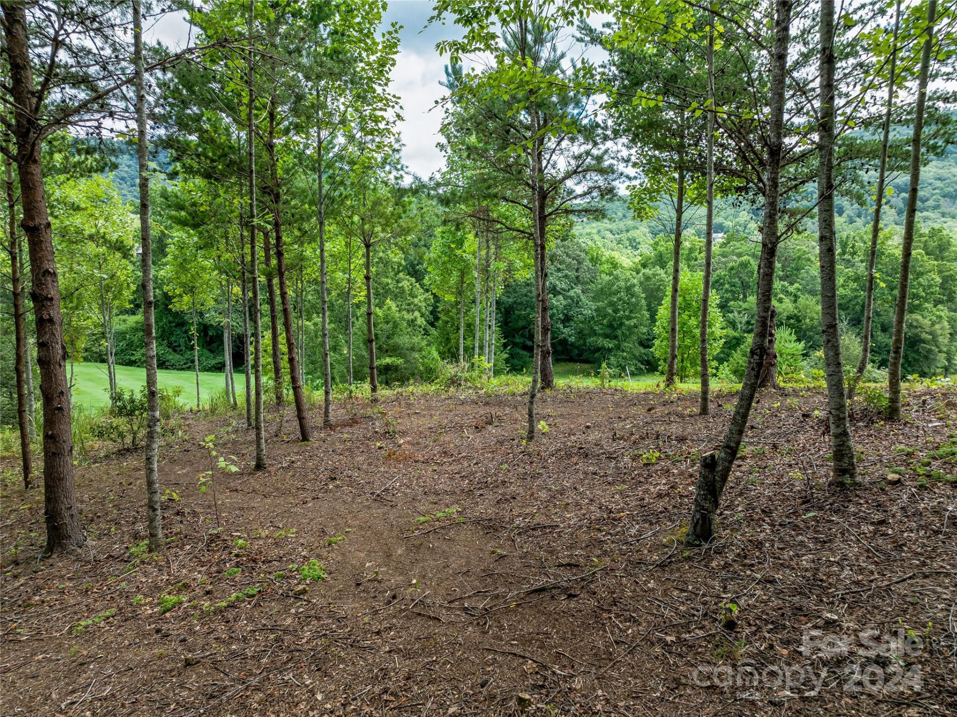 1822 Bella Vista Court #119 - Photo 27