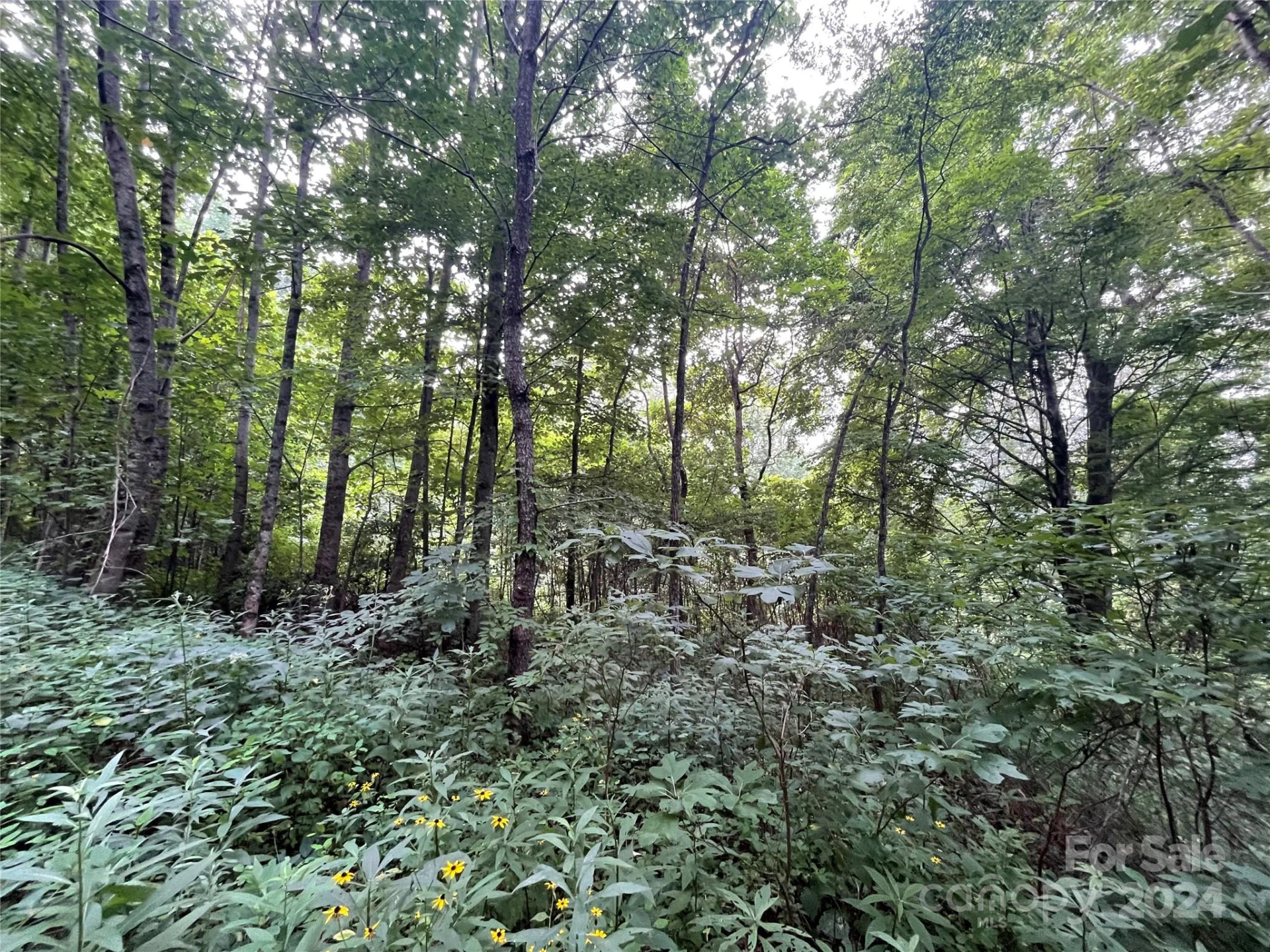 00 Friendly Acres Drive - Photo 11