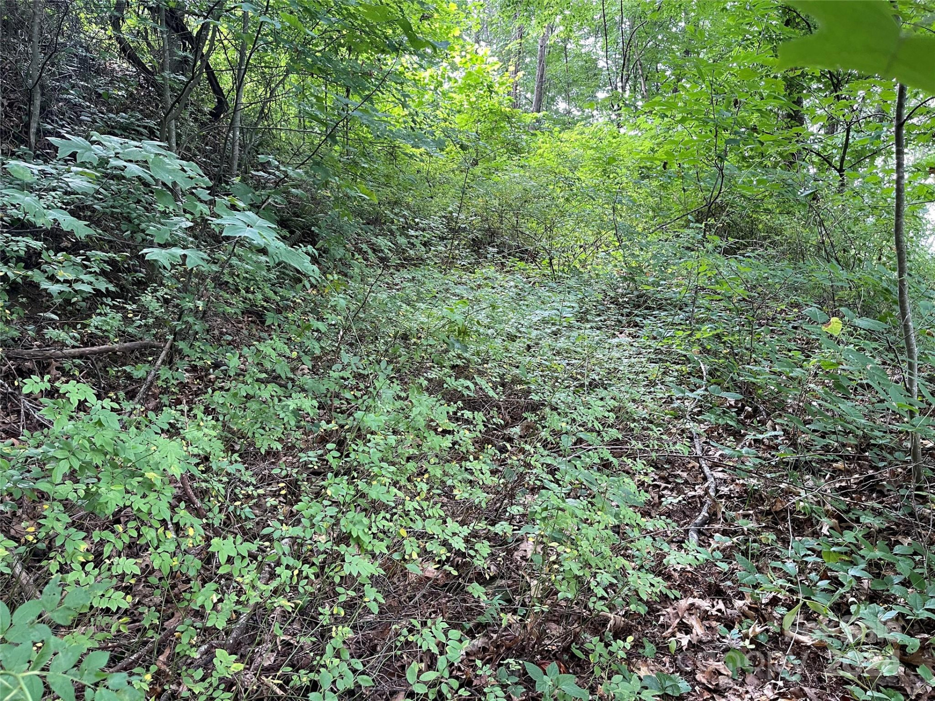 00 Friendly Acres Drive - Photo 13