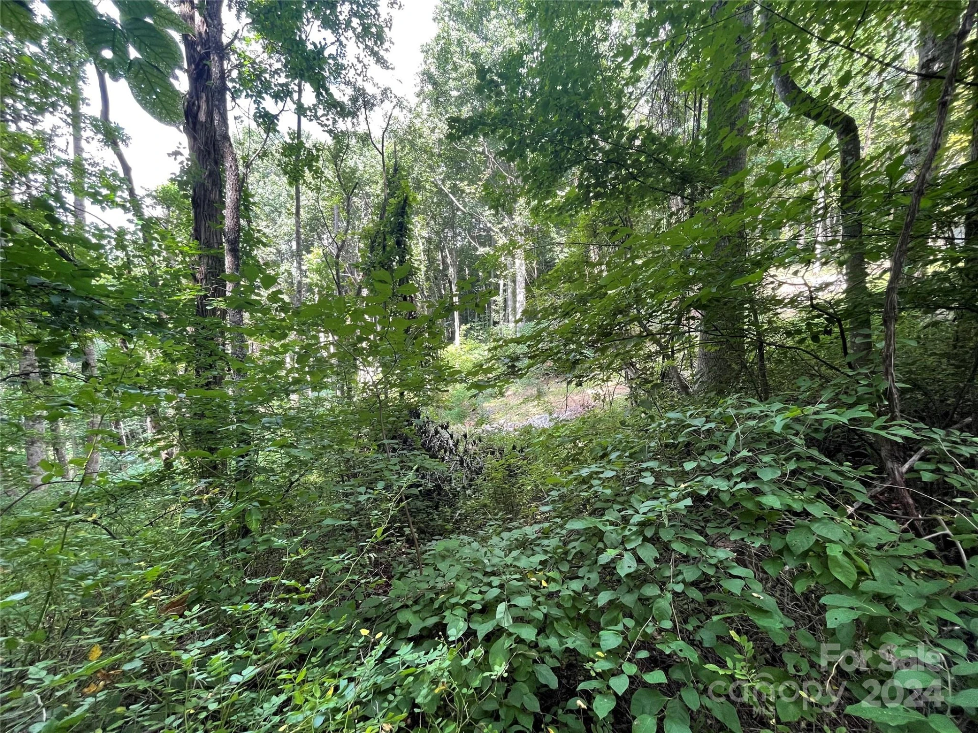00 Friendly Acres Drive - Photo 14
