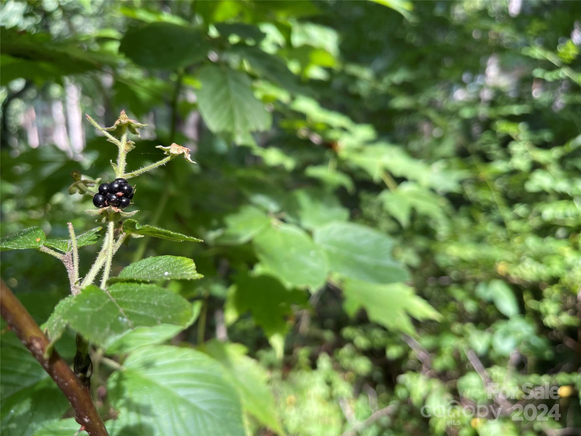 00 Friendly Acres Drive - Photo 15