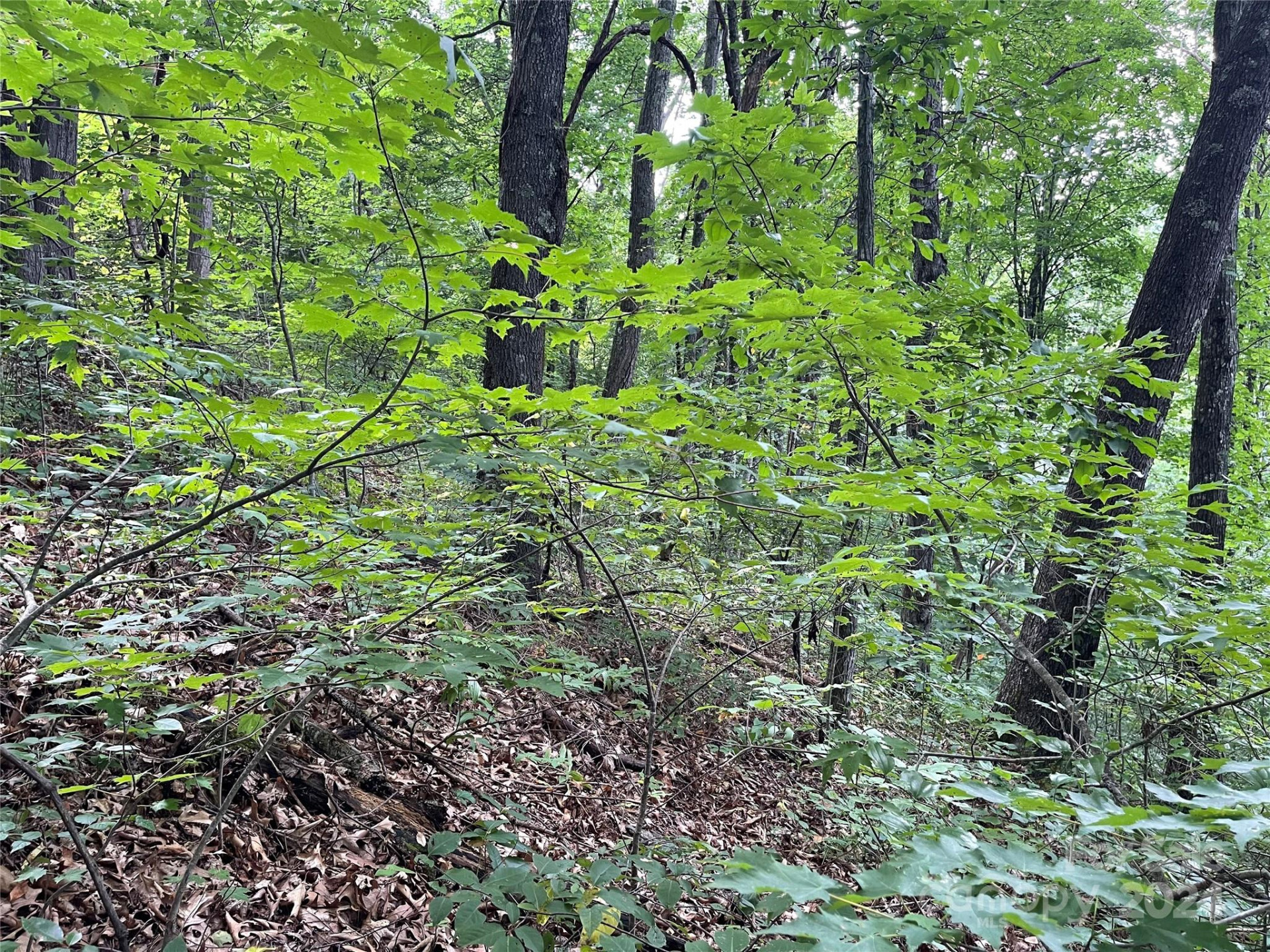 00 Friendly Acres Drive - Photo 17