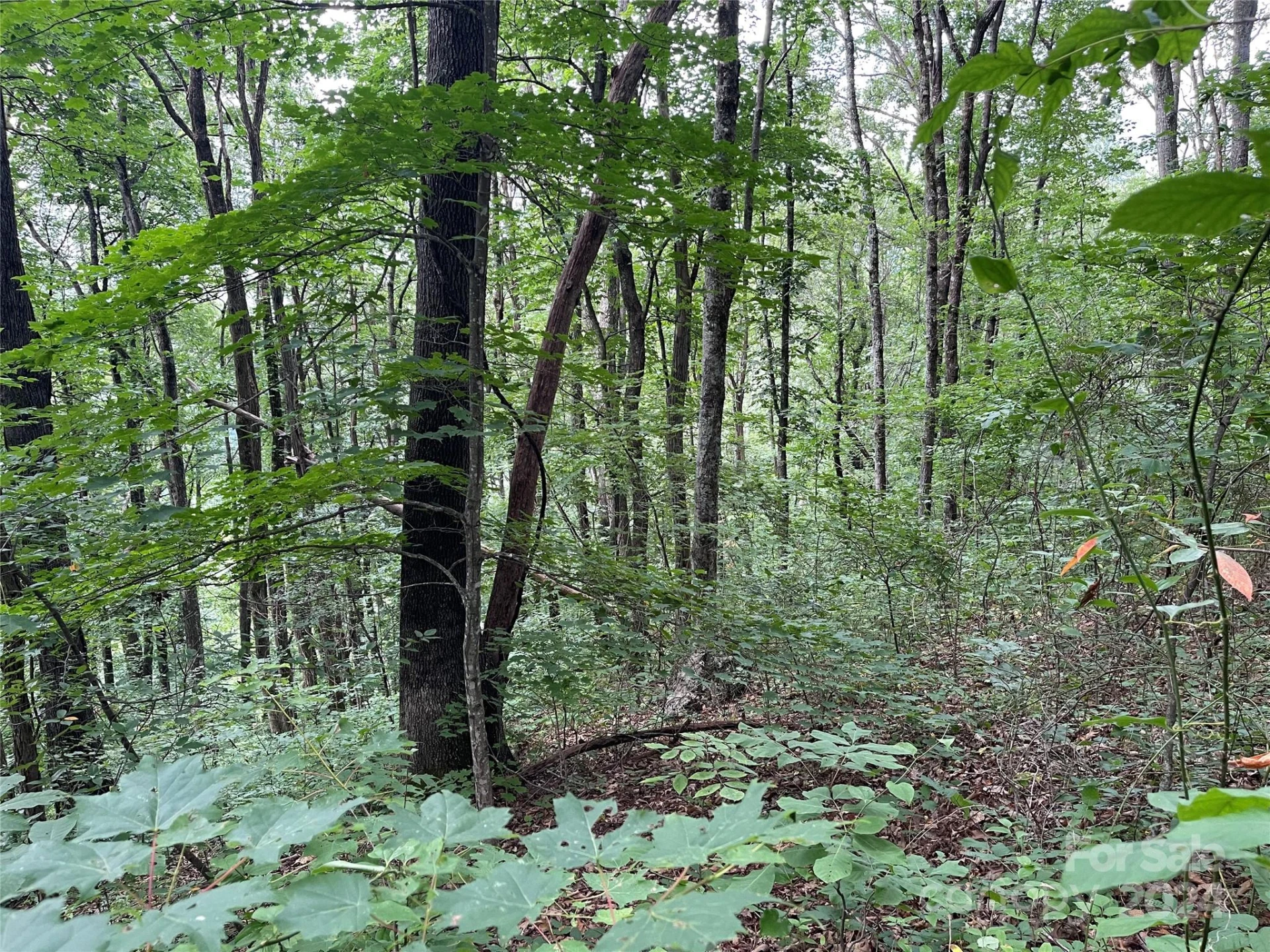 00 Friendly Acres Drive - Photo 19