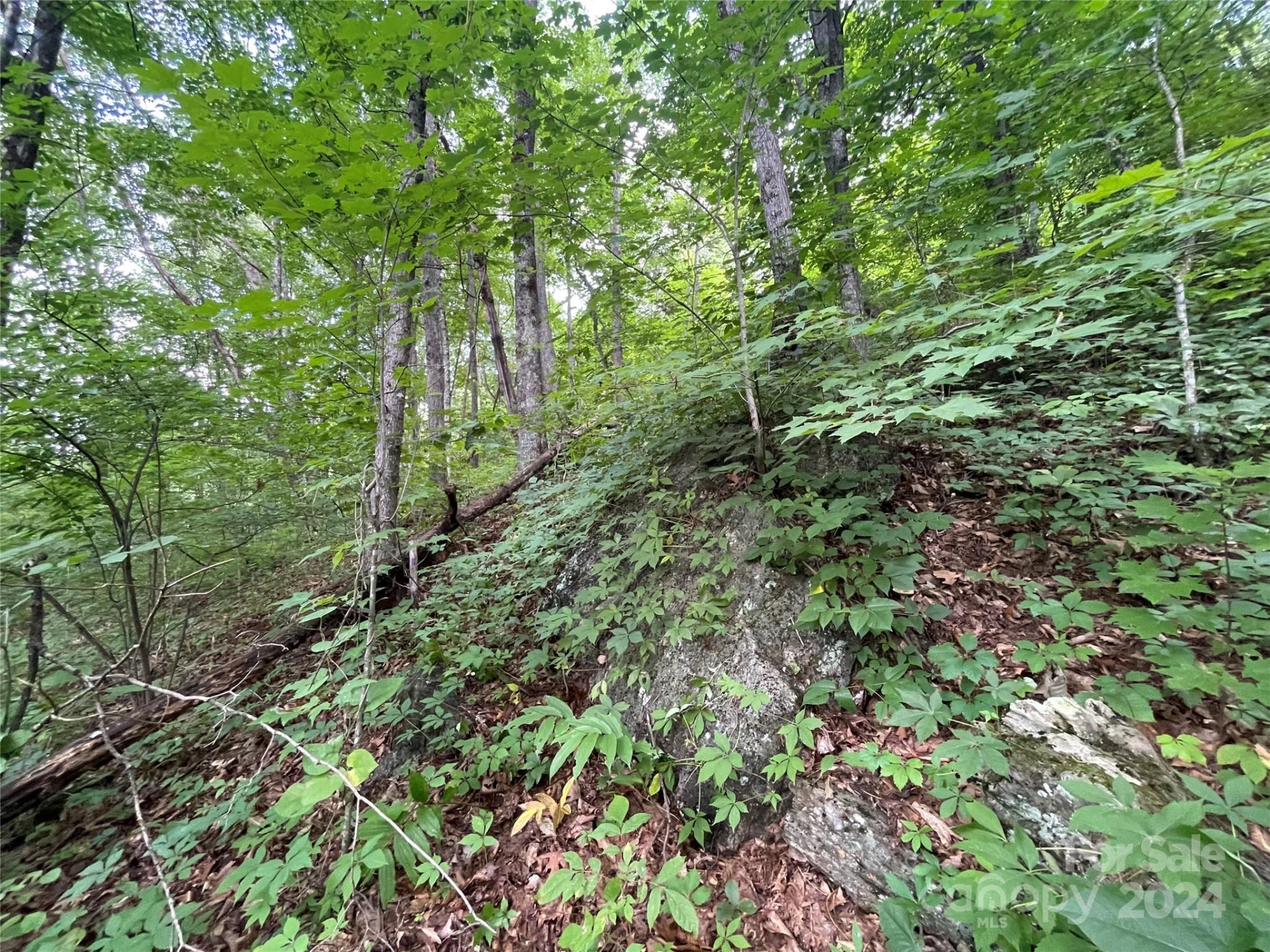 00 Friendly Acres Drive - Photo 21