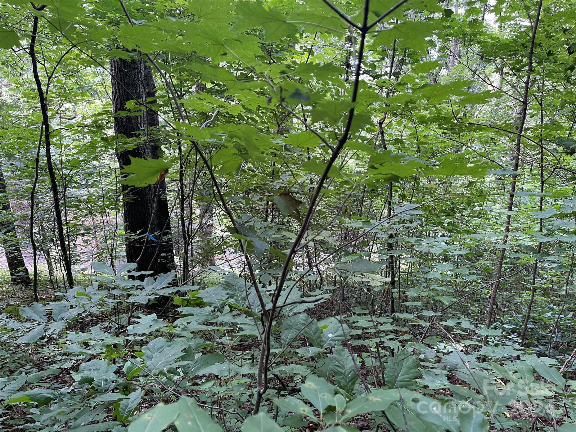 00 Friendly Acres Drive - Photo 25