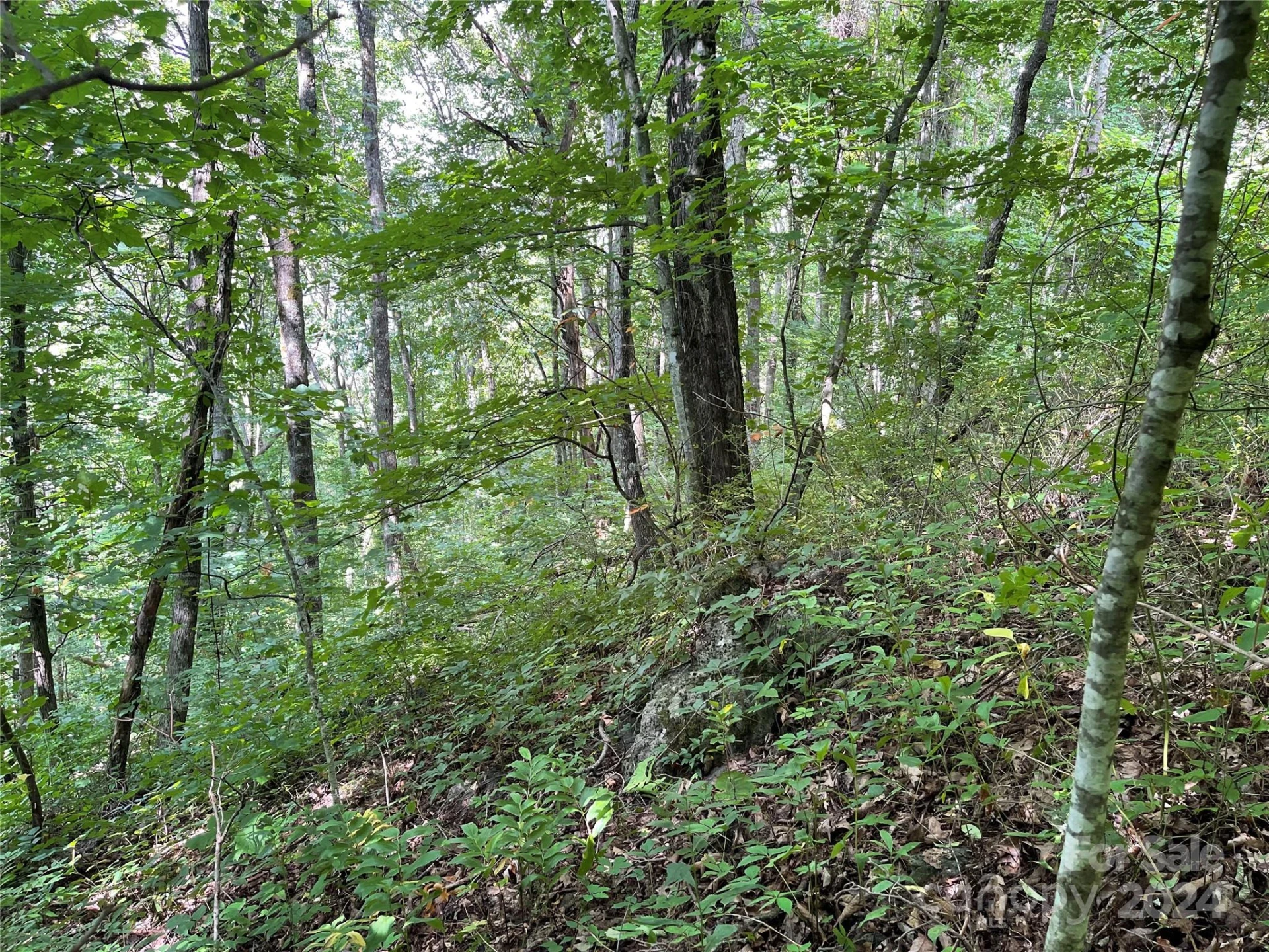 00 Friendly Acres Drive - Photo 27