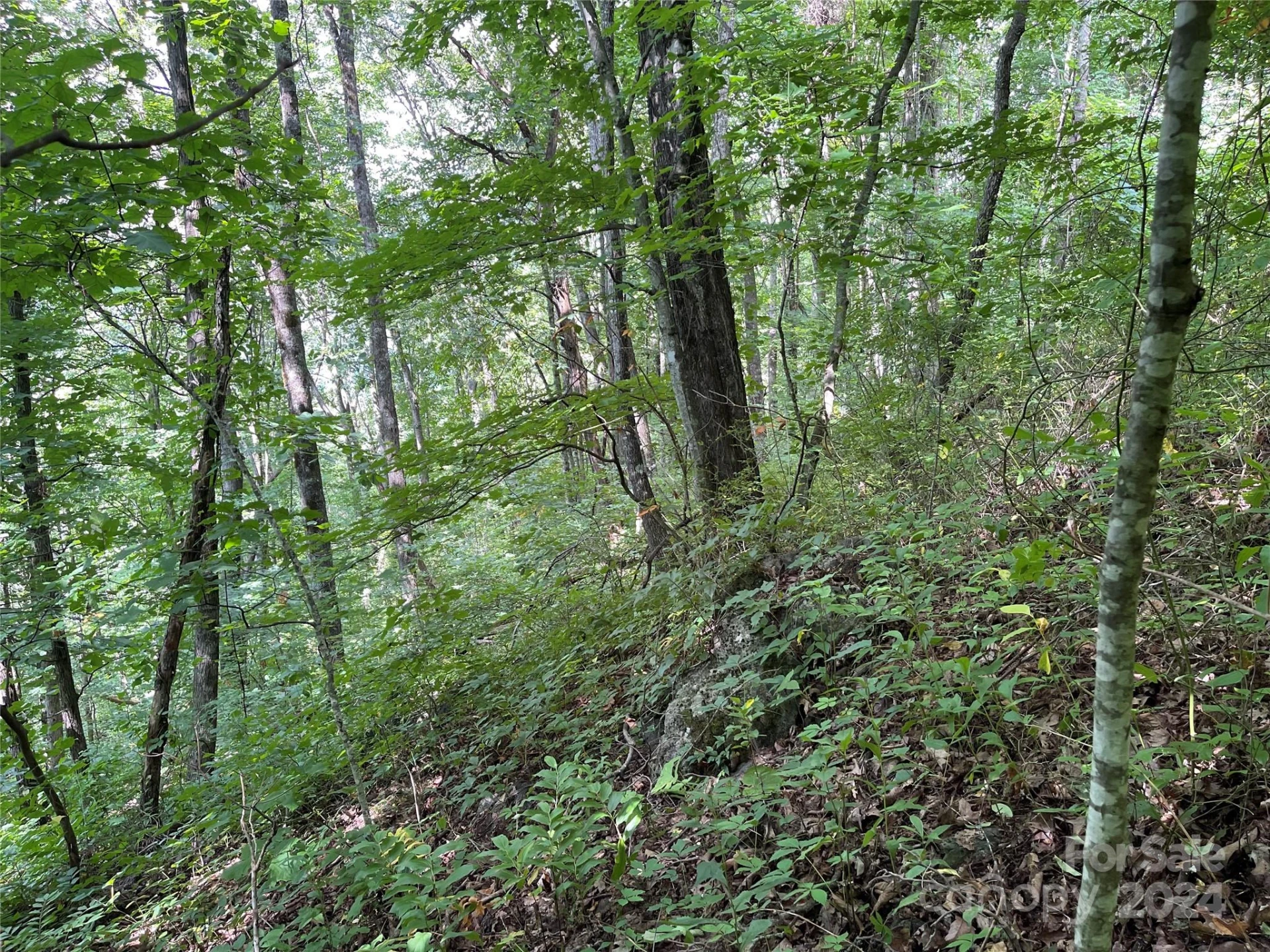 00 Friendly Acres Drive - Photo 28