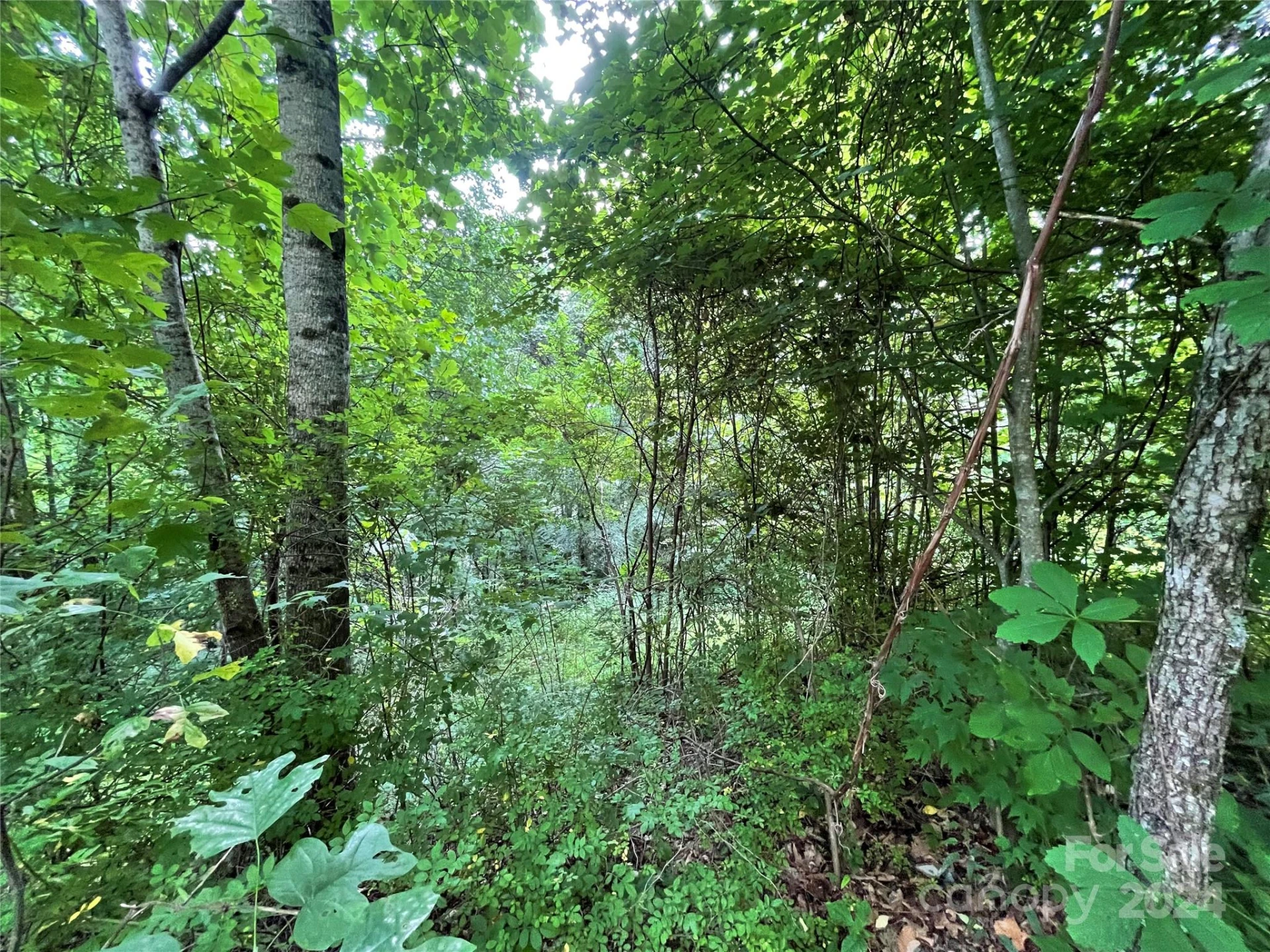 00 Friendly Acres Drive - Photo 32