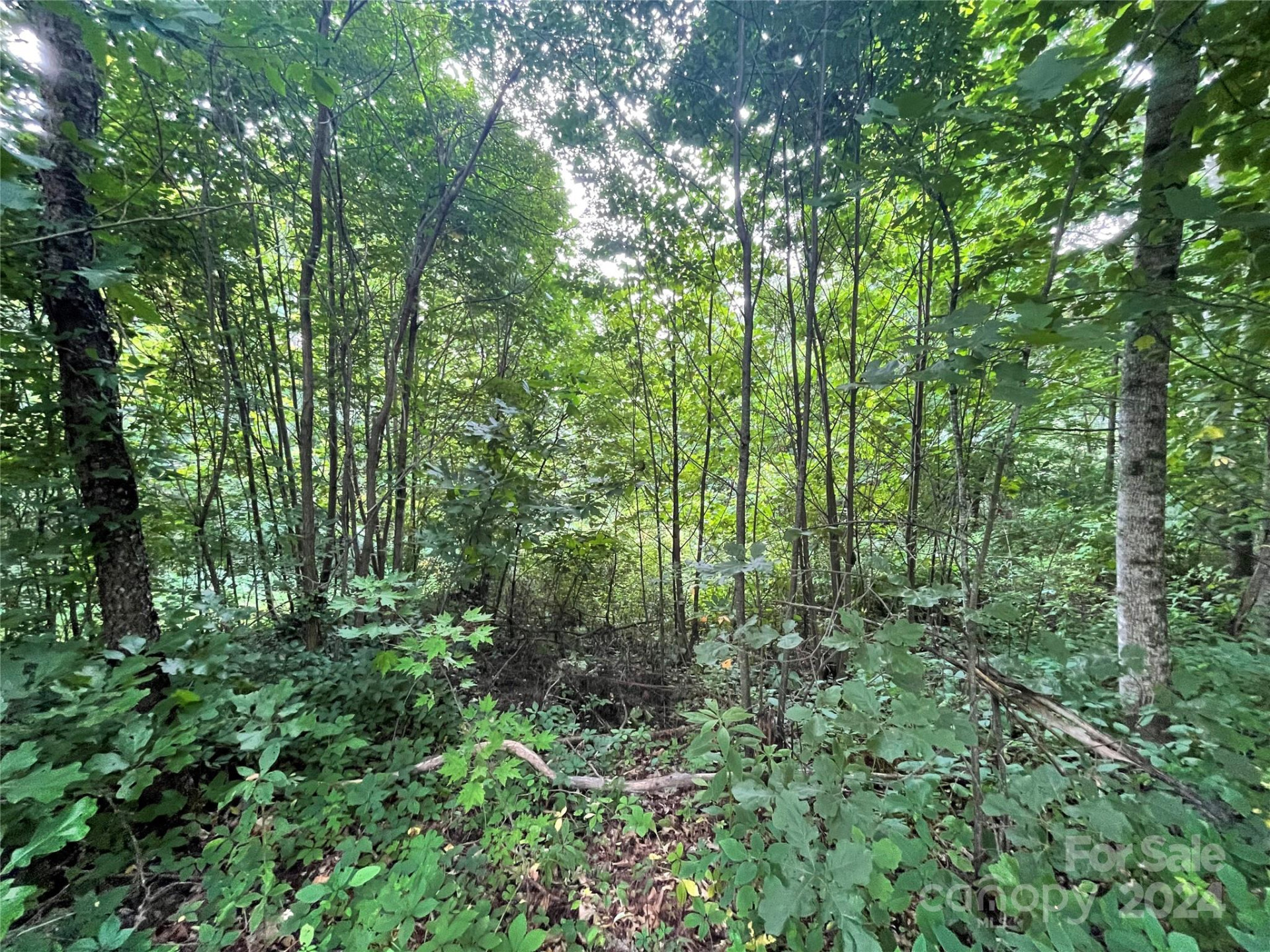 00 Friendly Acres Drive - Photo 7