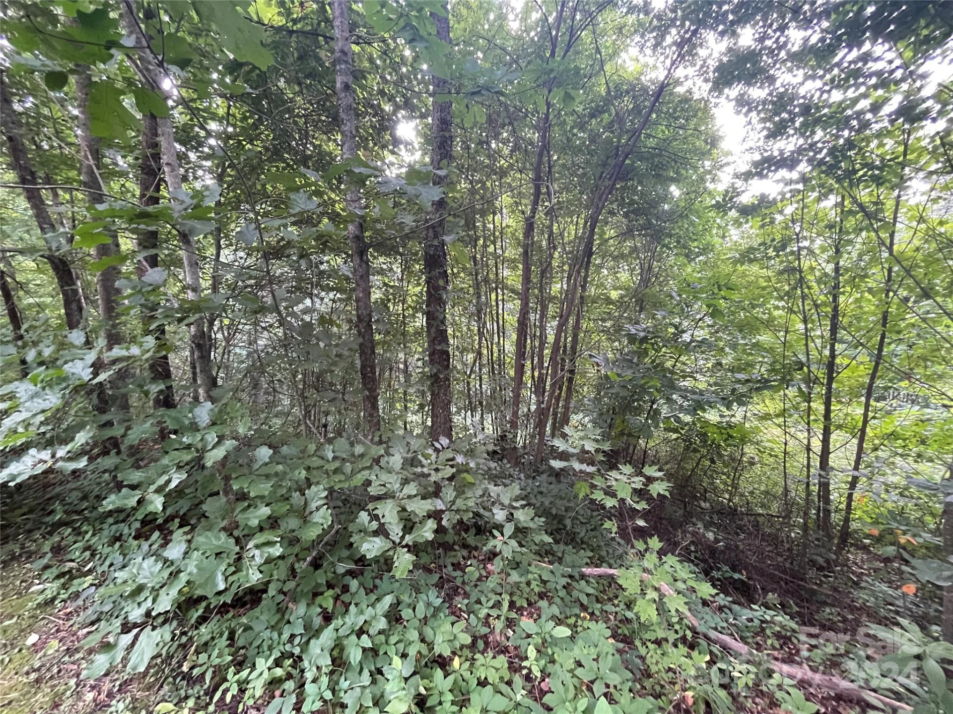 00 Friendly Acres Drive - Photo 8