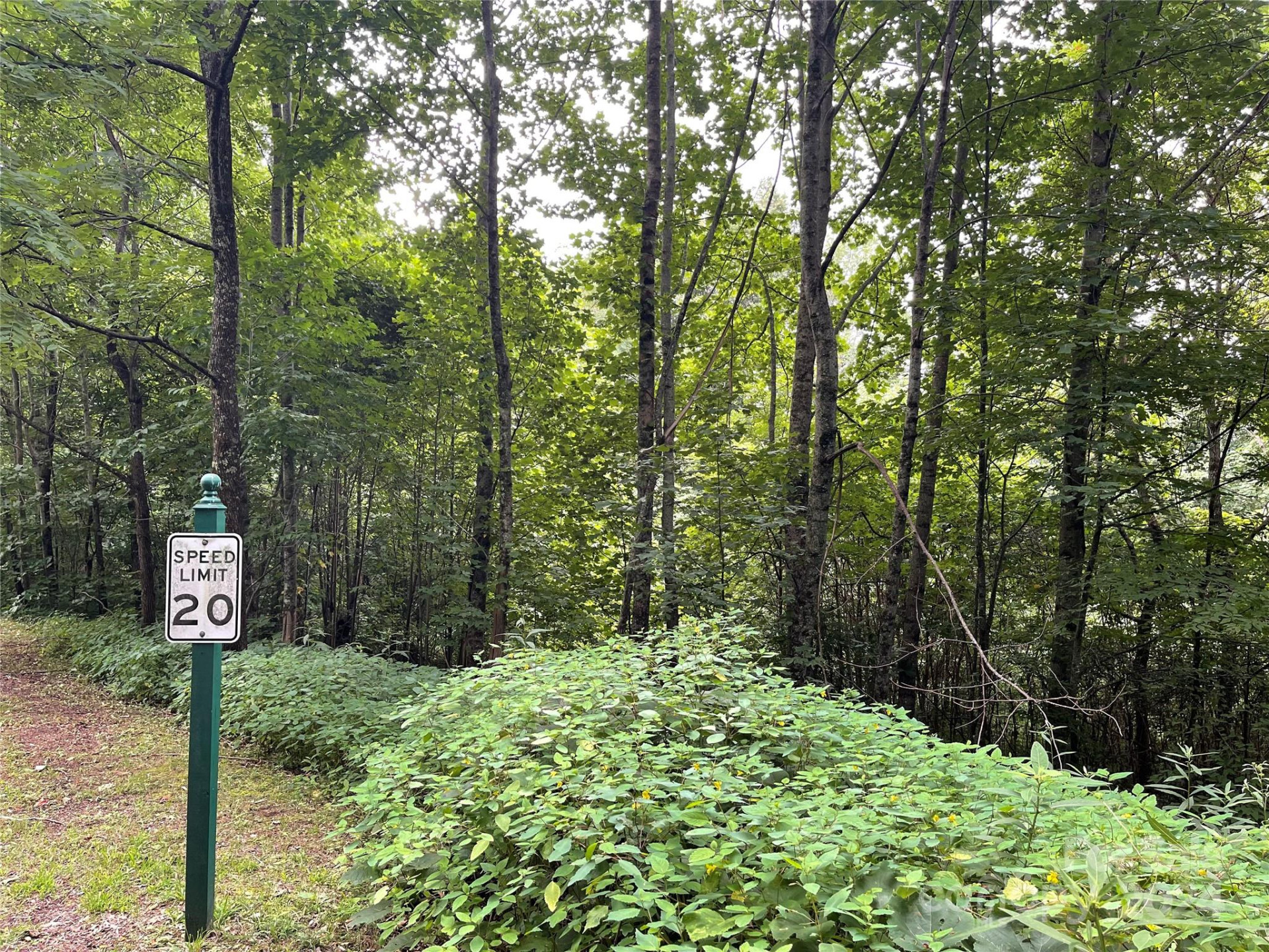 00 Friendly Acres Drive - Photo 9