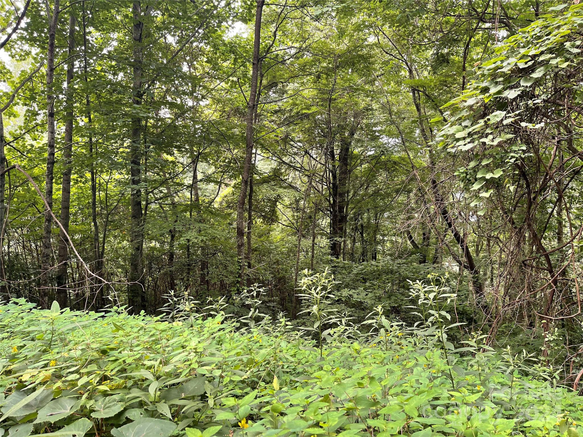 00 Friendly Acres Drive - Photo 10