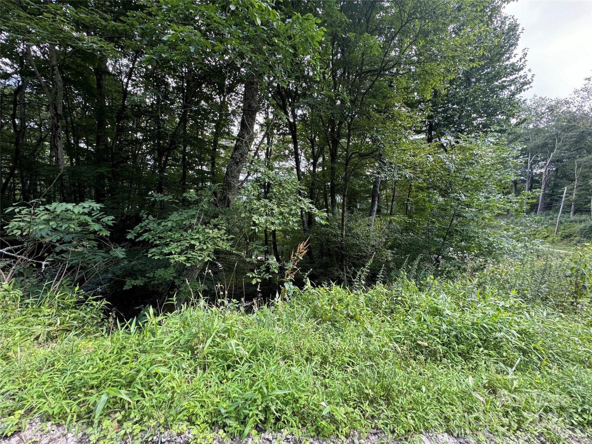 227 Birch Springs Lane - Photo 2
