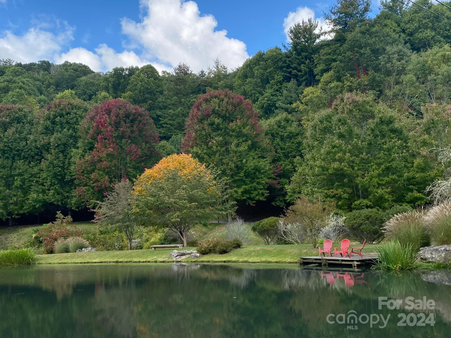 227 Birch Springs Lane - Photo 19