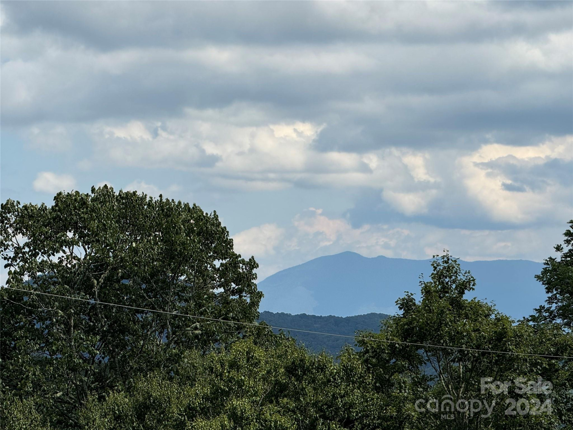 227 Birch Springs Lane - Photo 8
