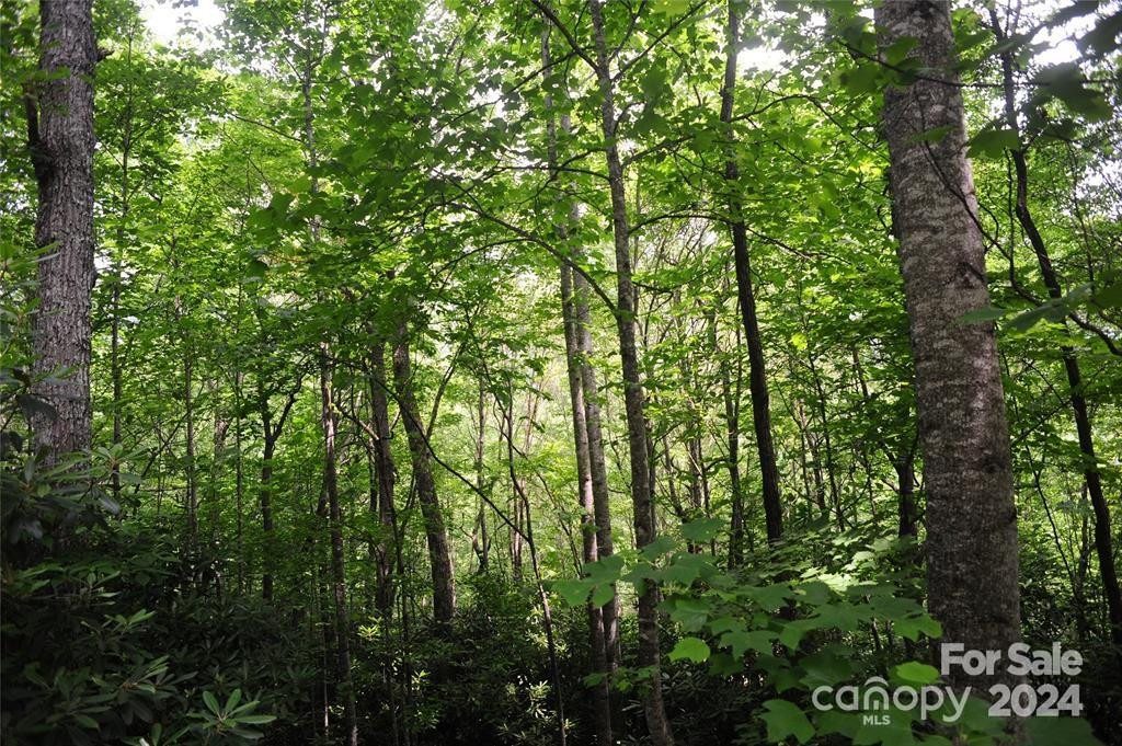 17 Wood Haven Lane #111 - Photo 2