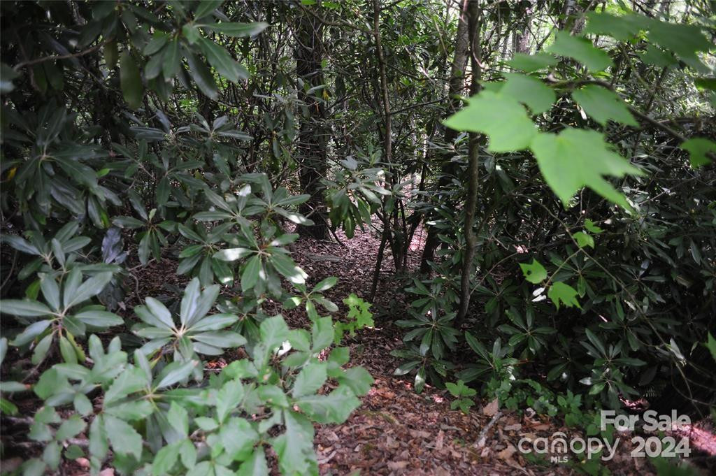 17 Wood Haven Lane #111 - Photo 4