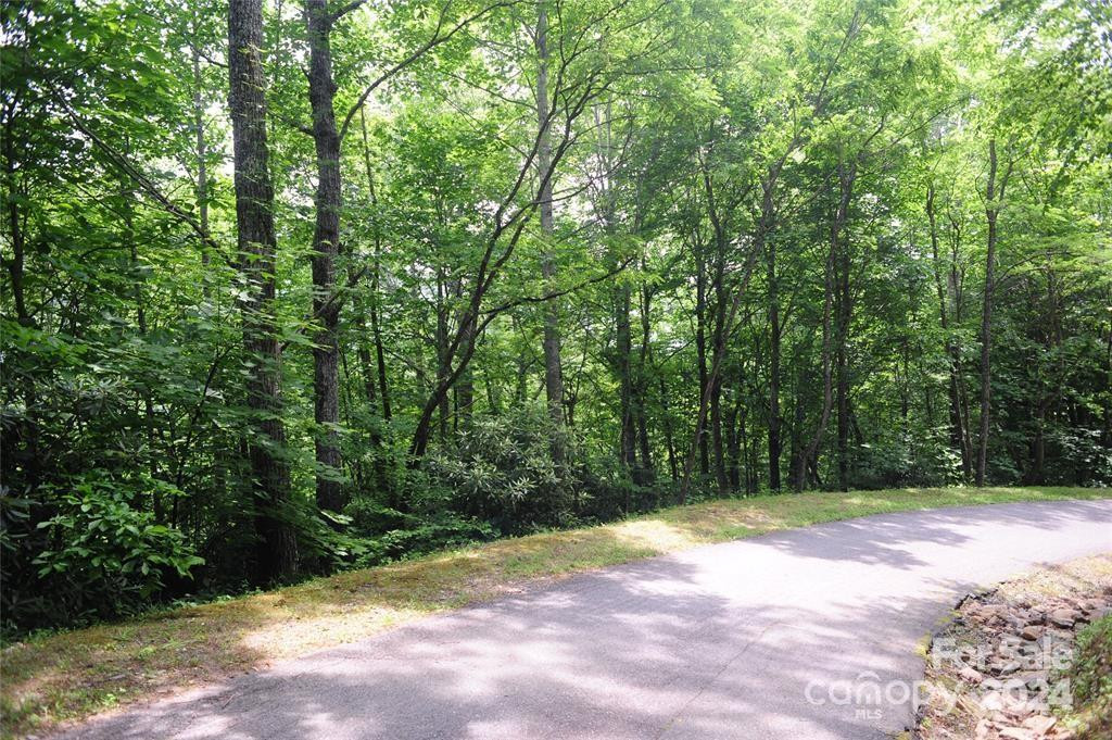 17 Wood Haven Lane #111 - Photo 6