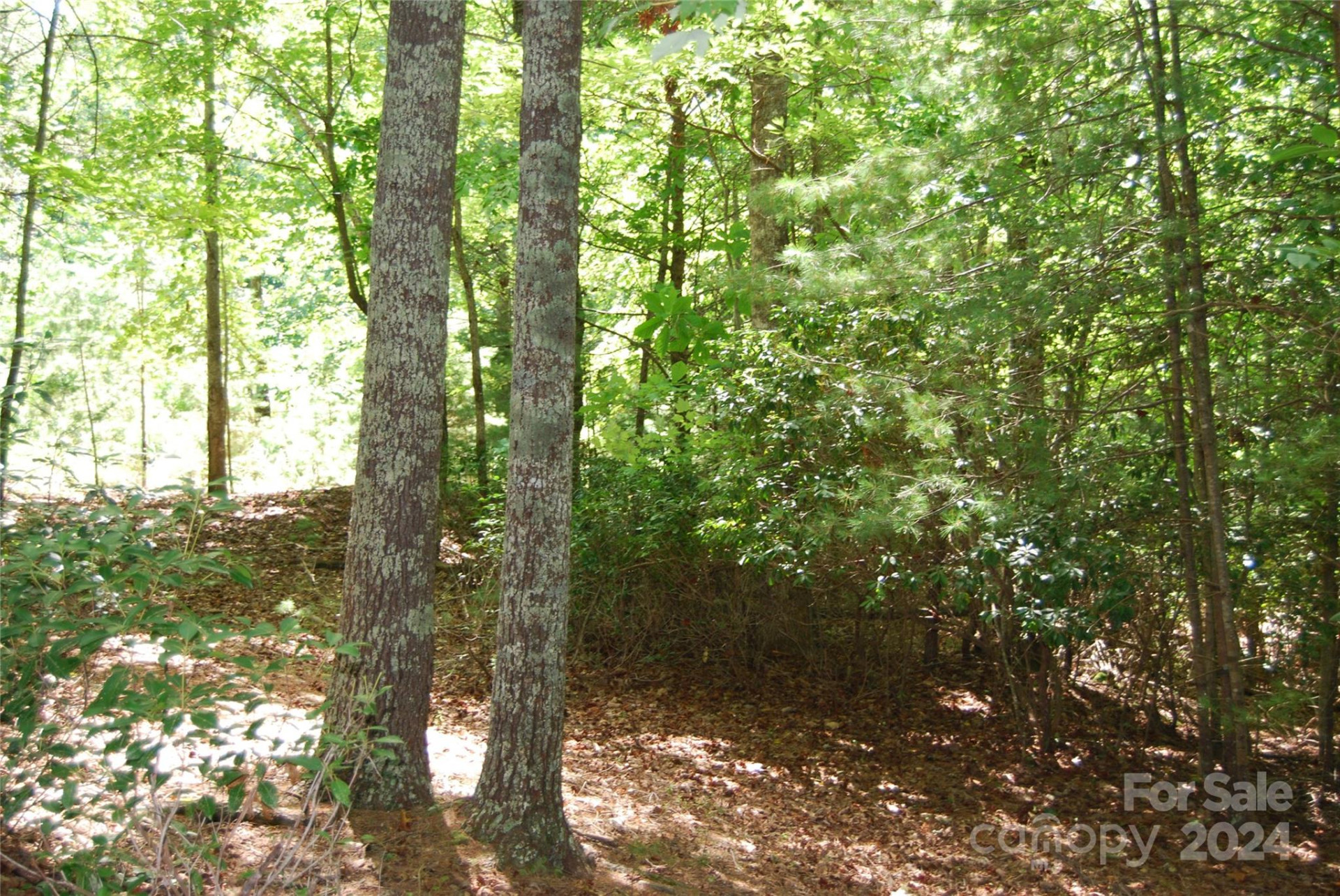 65 Dockside Drive #2 - Photo 8