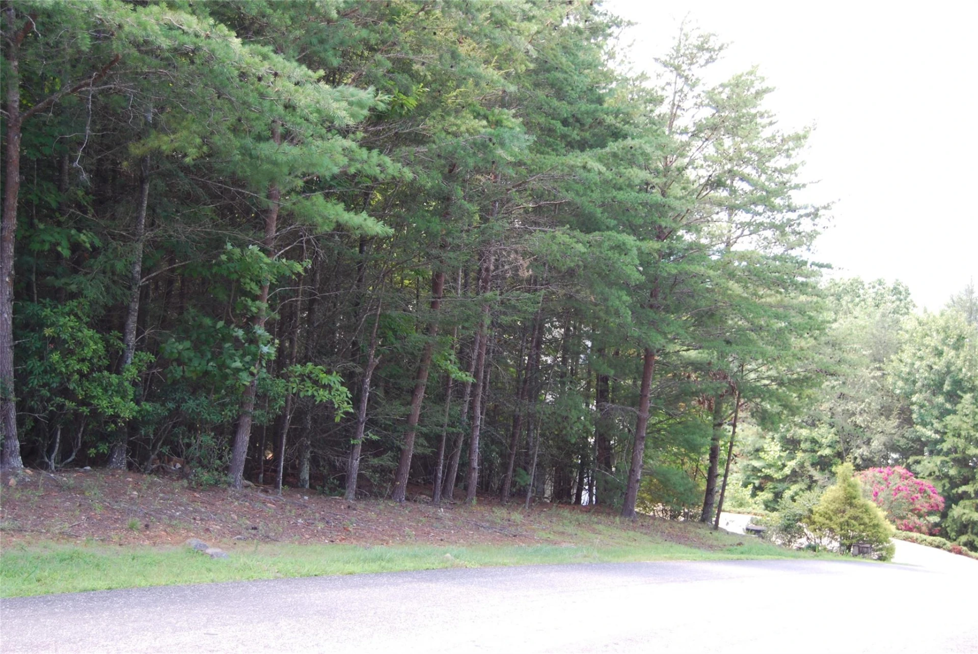 65 Dockside Drive #2 - Photo 10