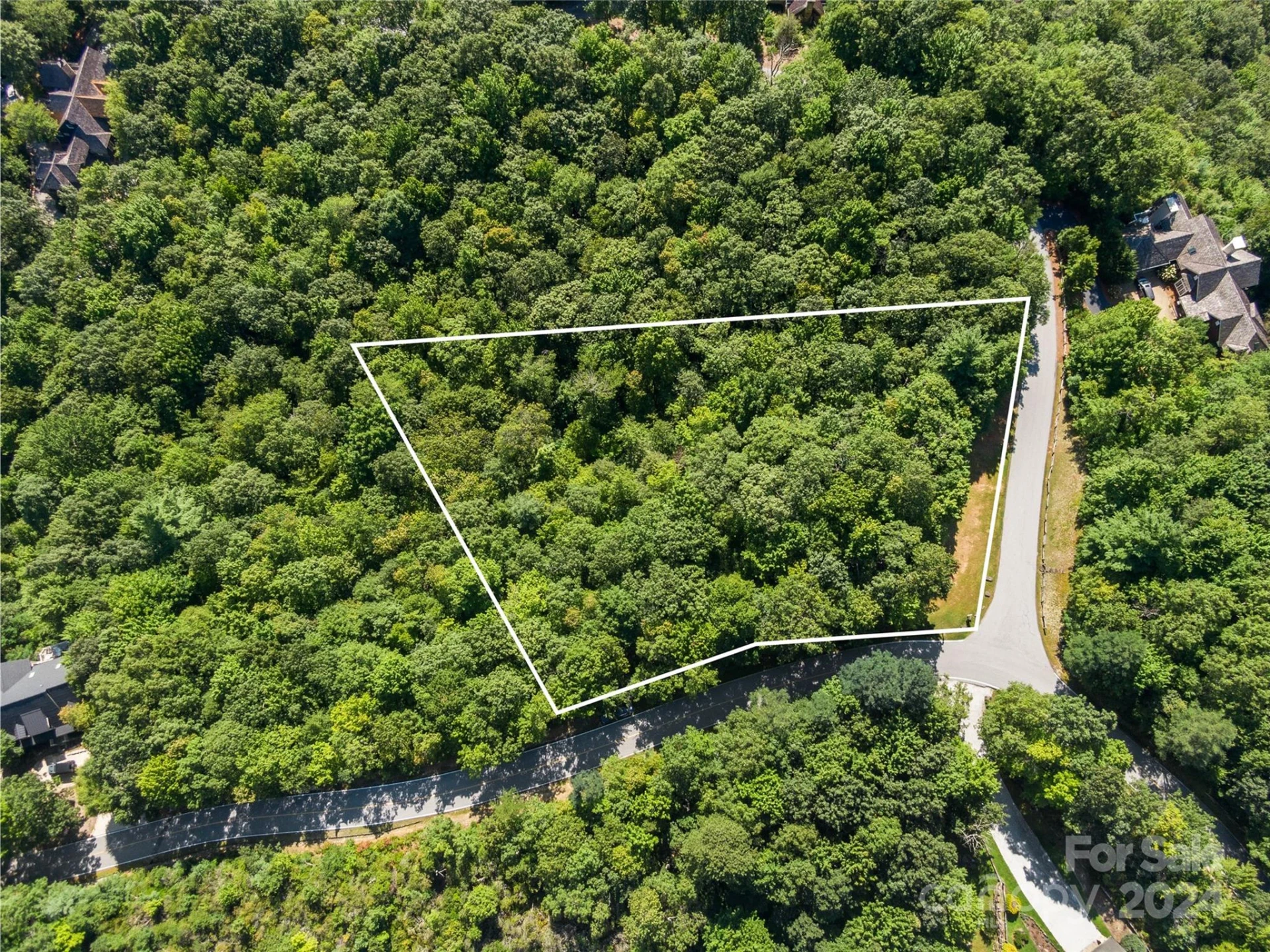 0 Toxaway Court - Photo 2