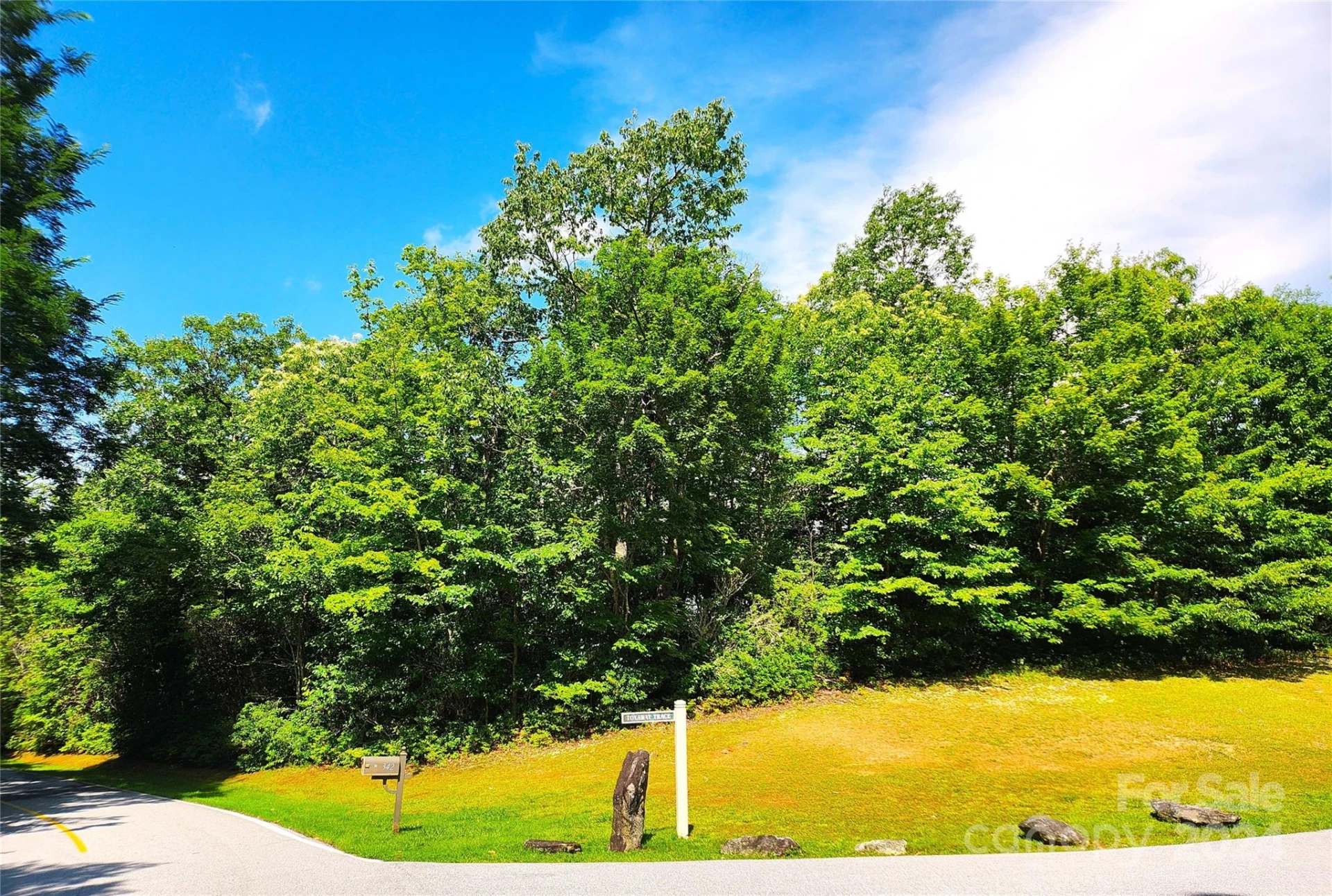 0 Toxaway Court - Photo 4