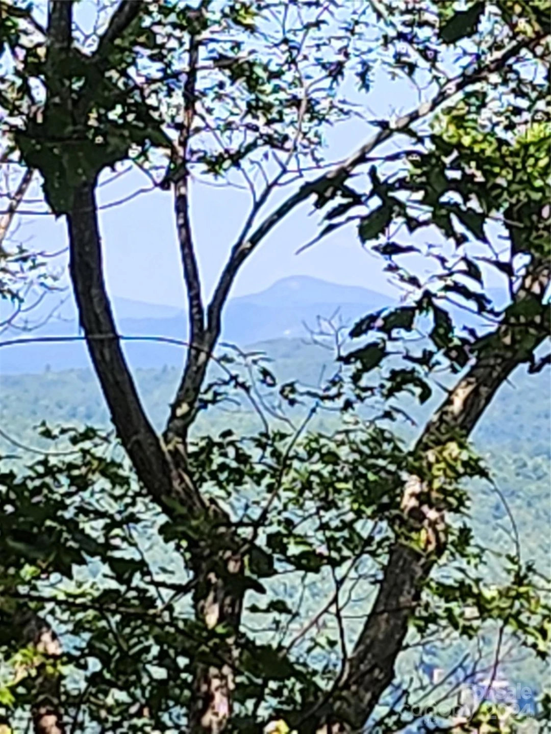 0 Toxaway Court - Photo 6