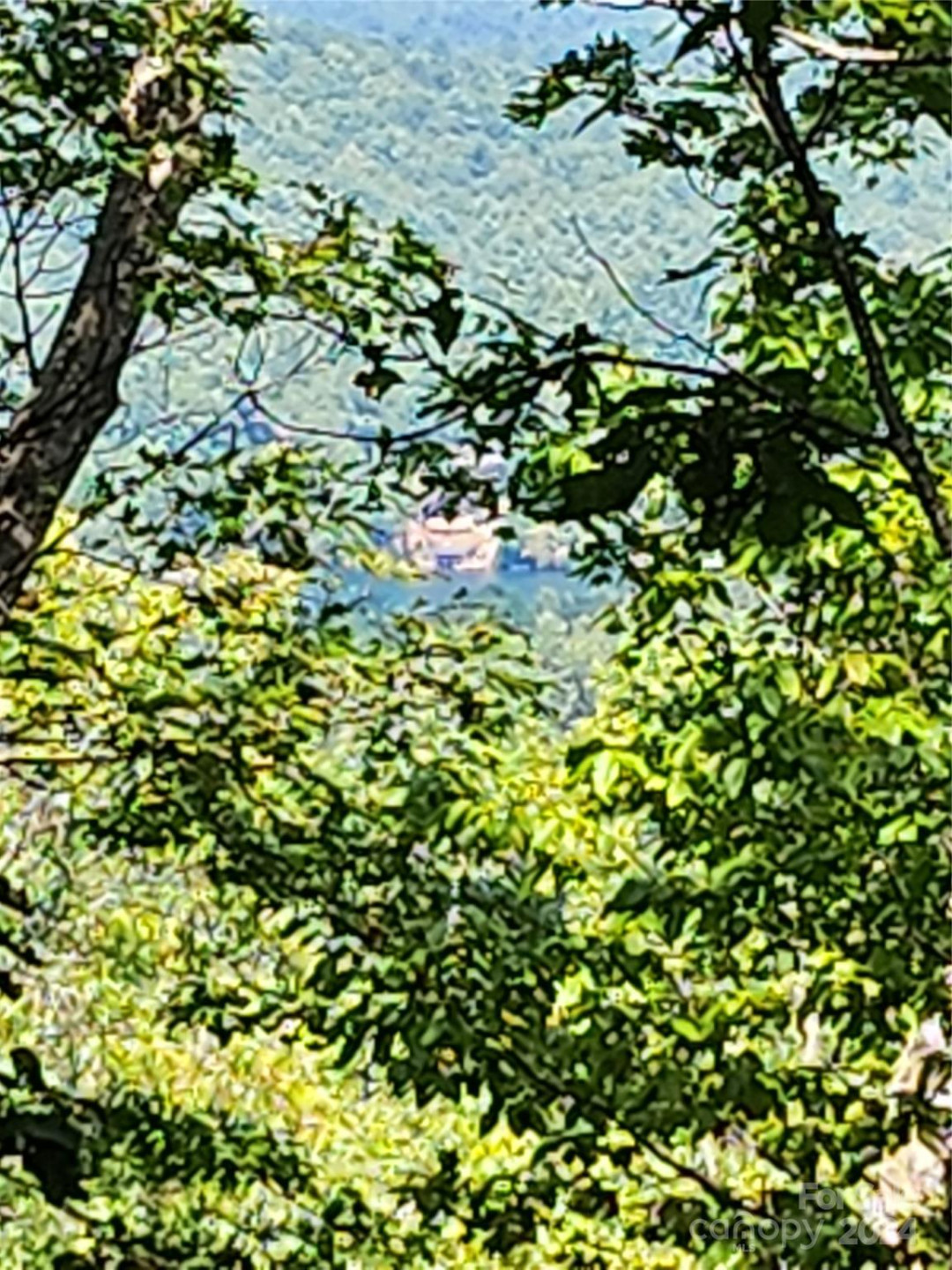 0 Toxaway Court - Photo 7