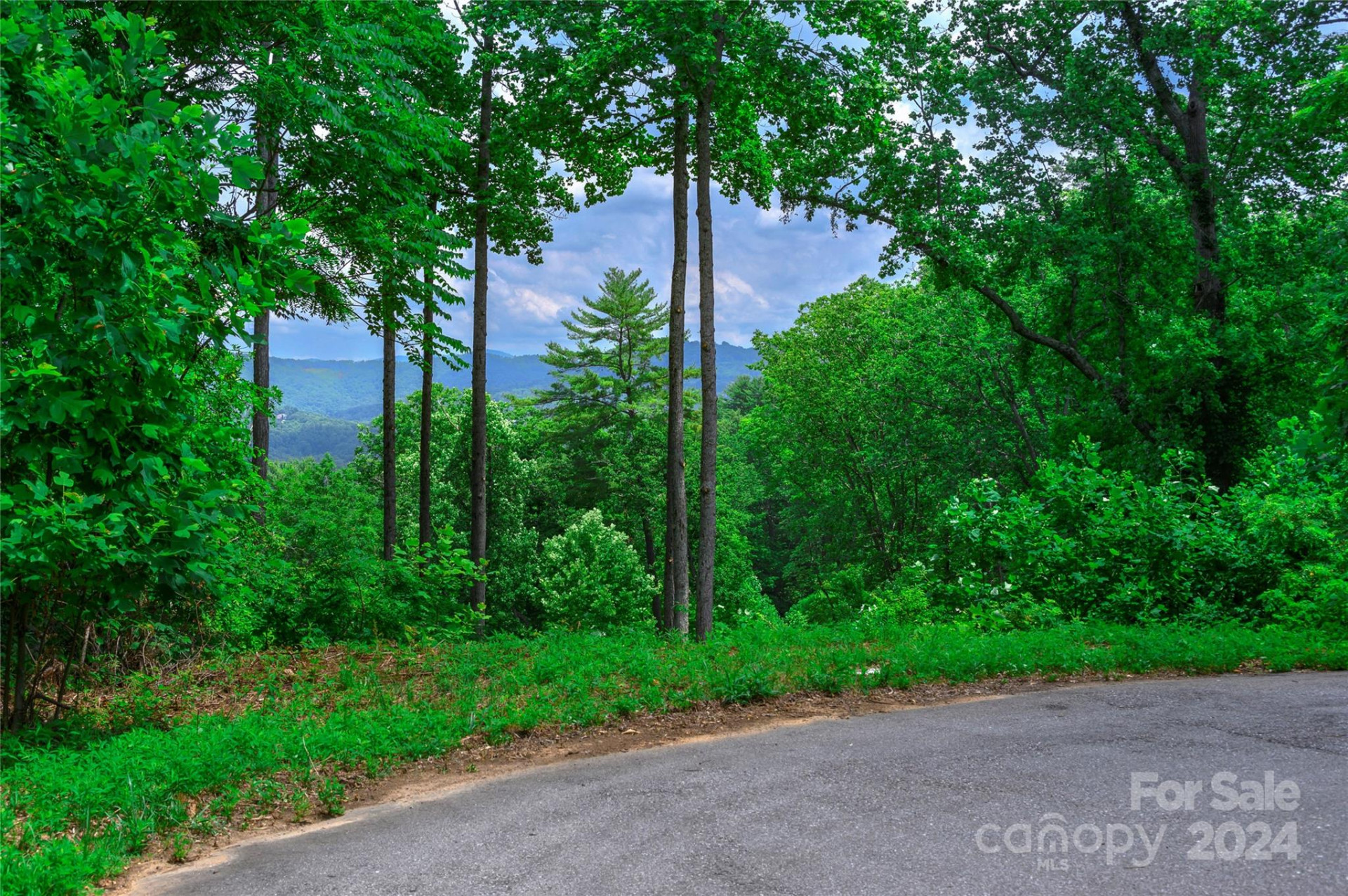 62 Destination Drive - Photo 40