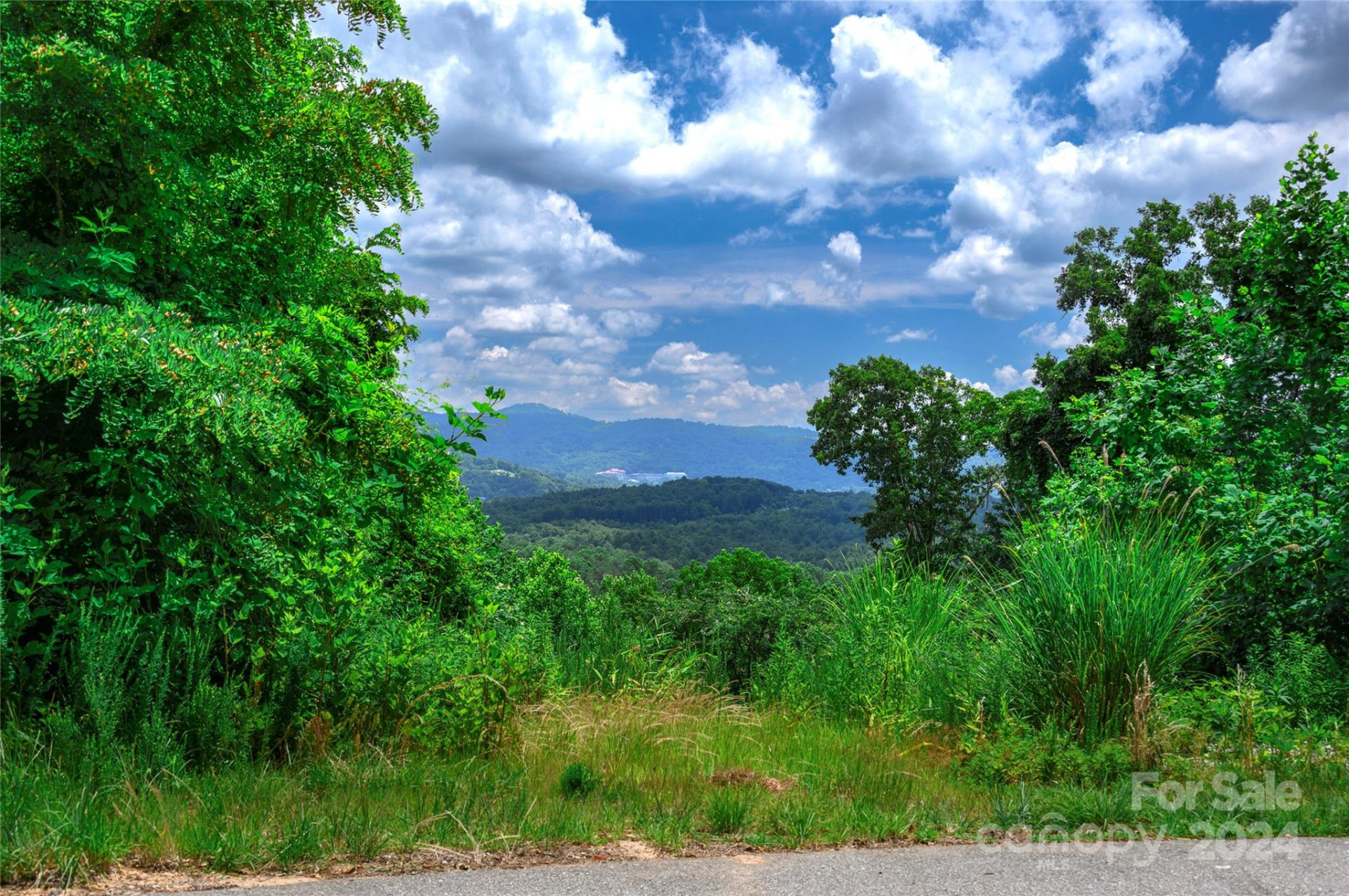 62 Destination Drive - Photo 44