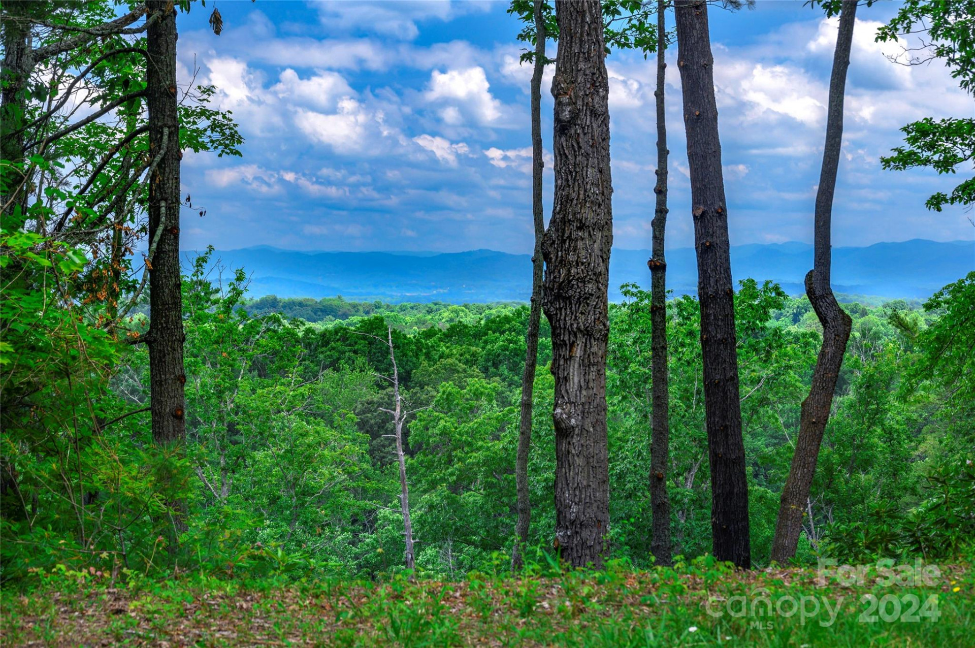 62 Destination Drive - Photo 45