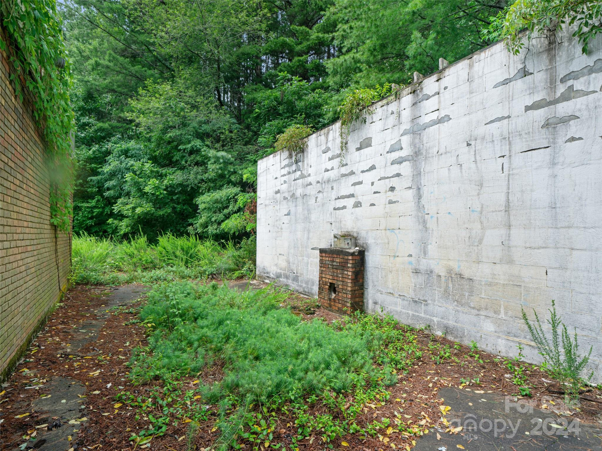 432 US Hwy 19 ByPass - Photo 16