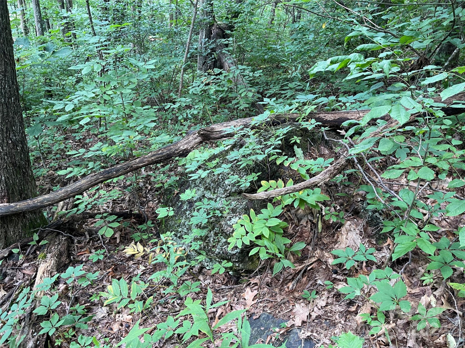 0000 Silverleaf Circle - Photo 15