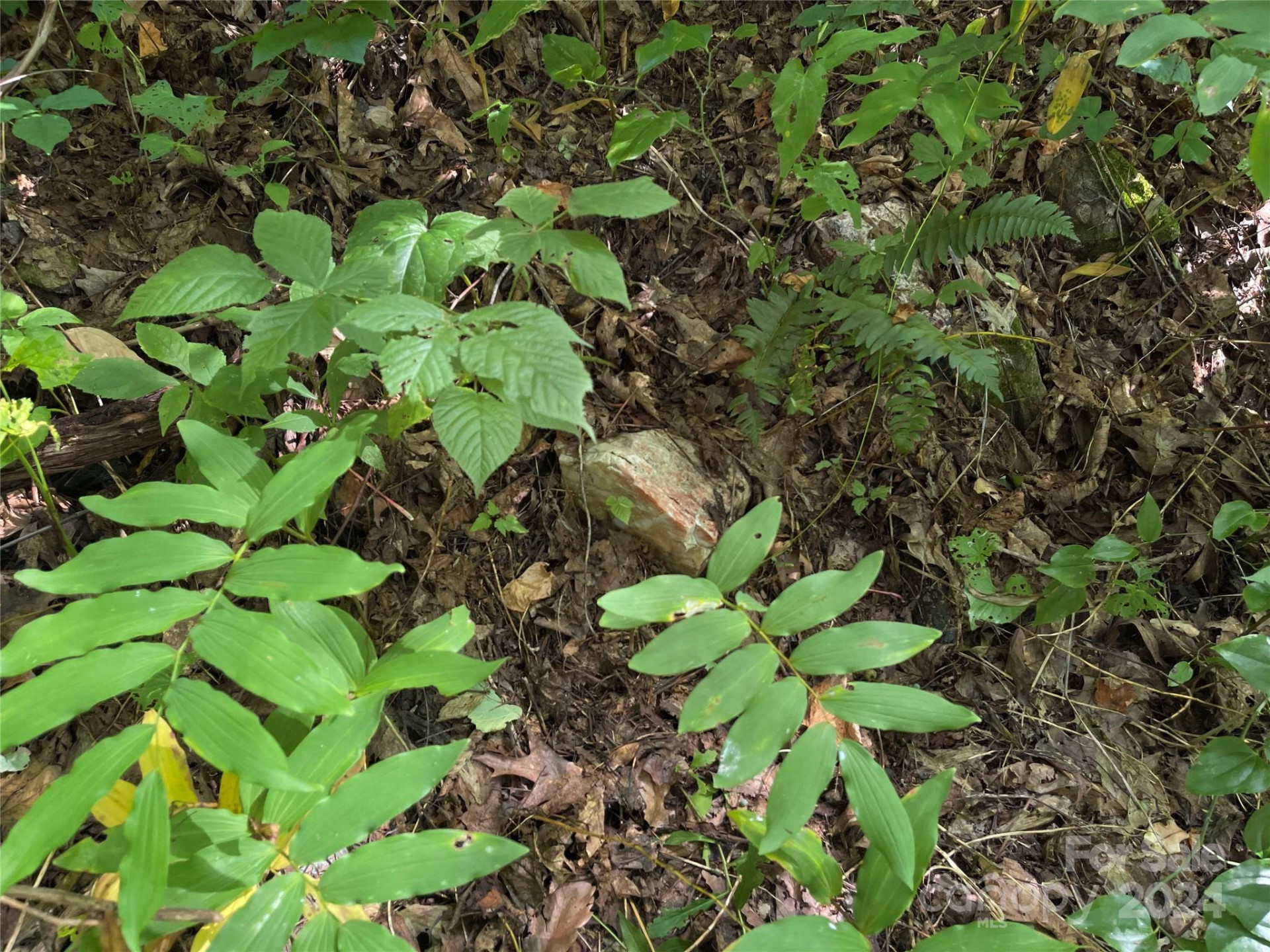 0000 Silverleaf Circle - Photo 21