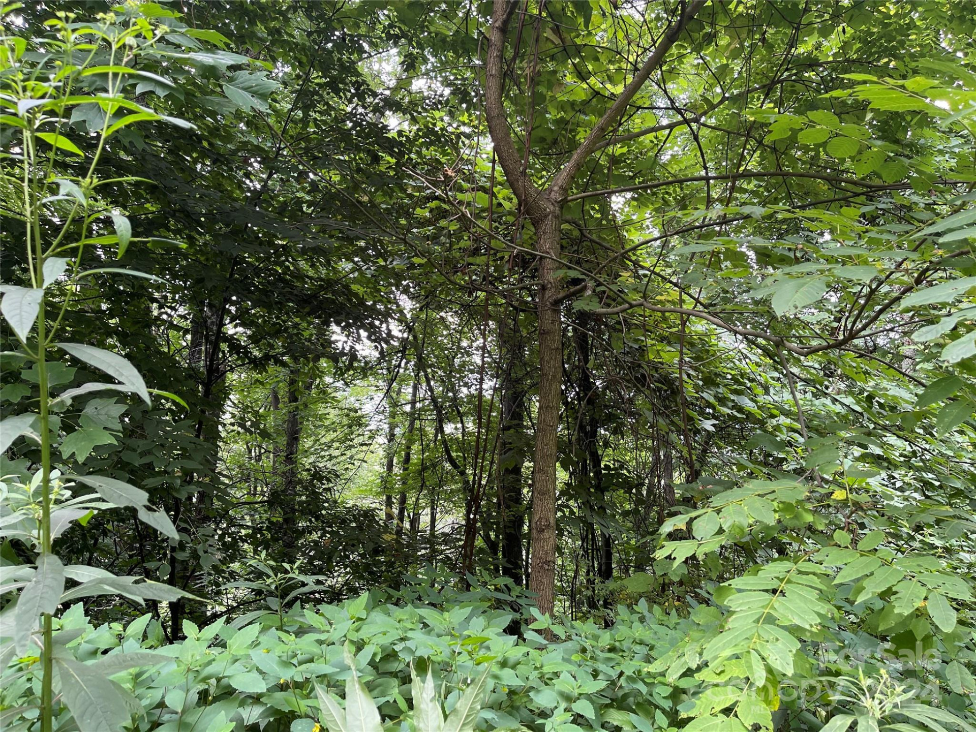 0000 Silverleaf Circle - Photo 23